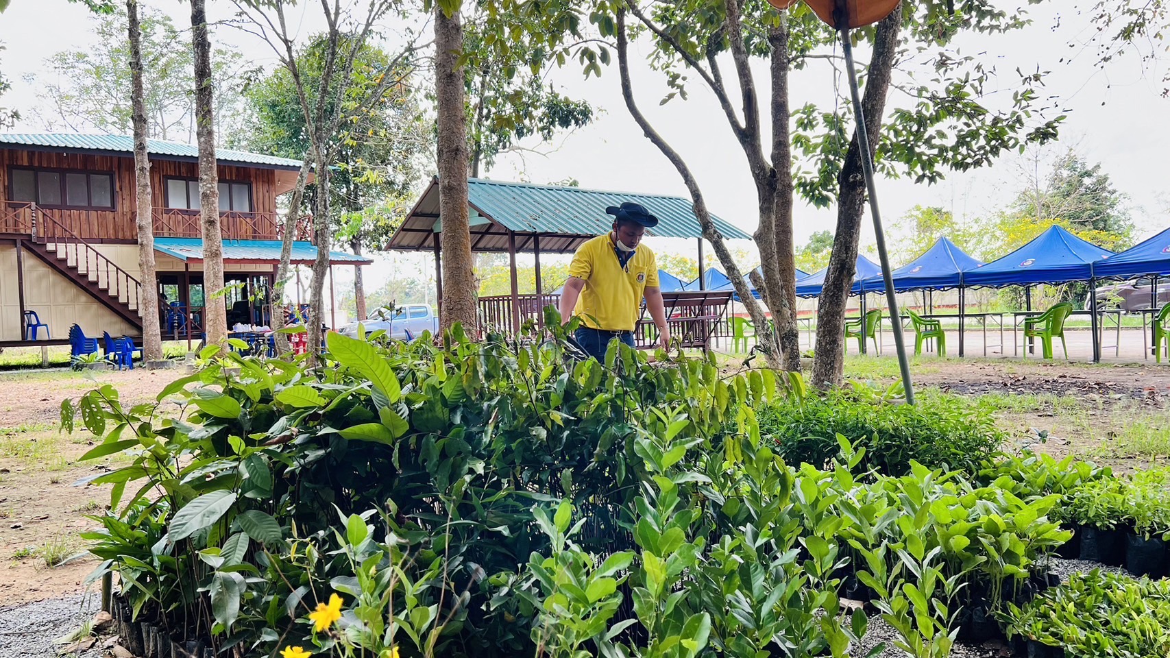 ?️??‍? พช.ฉะเชิงเทราลงพื้นที่ติดตามการเตรียมความพร้อมการจัดกิจกรรม วันดินโลก (World Soil Day) บำรุงป่า รักษาผืนดิน  เทิดพระเกียรติ องค์ภูมิพลฯ