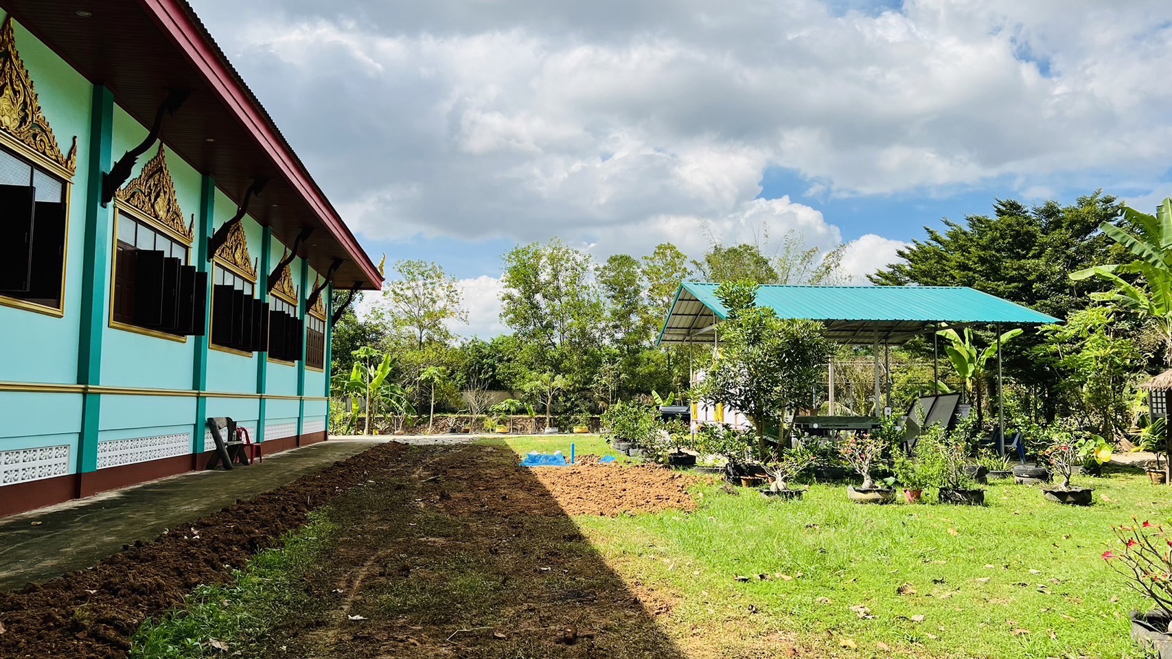 ?️??‍? พช.ฉะเชิงเทราลงพื้นที่ติดตามการเตรียมความพร้อมการจัดกิจกรรม วันดินโลก (World Soil Day) บำรุงป่า รักษาผืนดิน  เทิดพระเกียรติ องค์ภูมิพลฯ