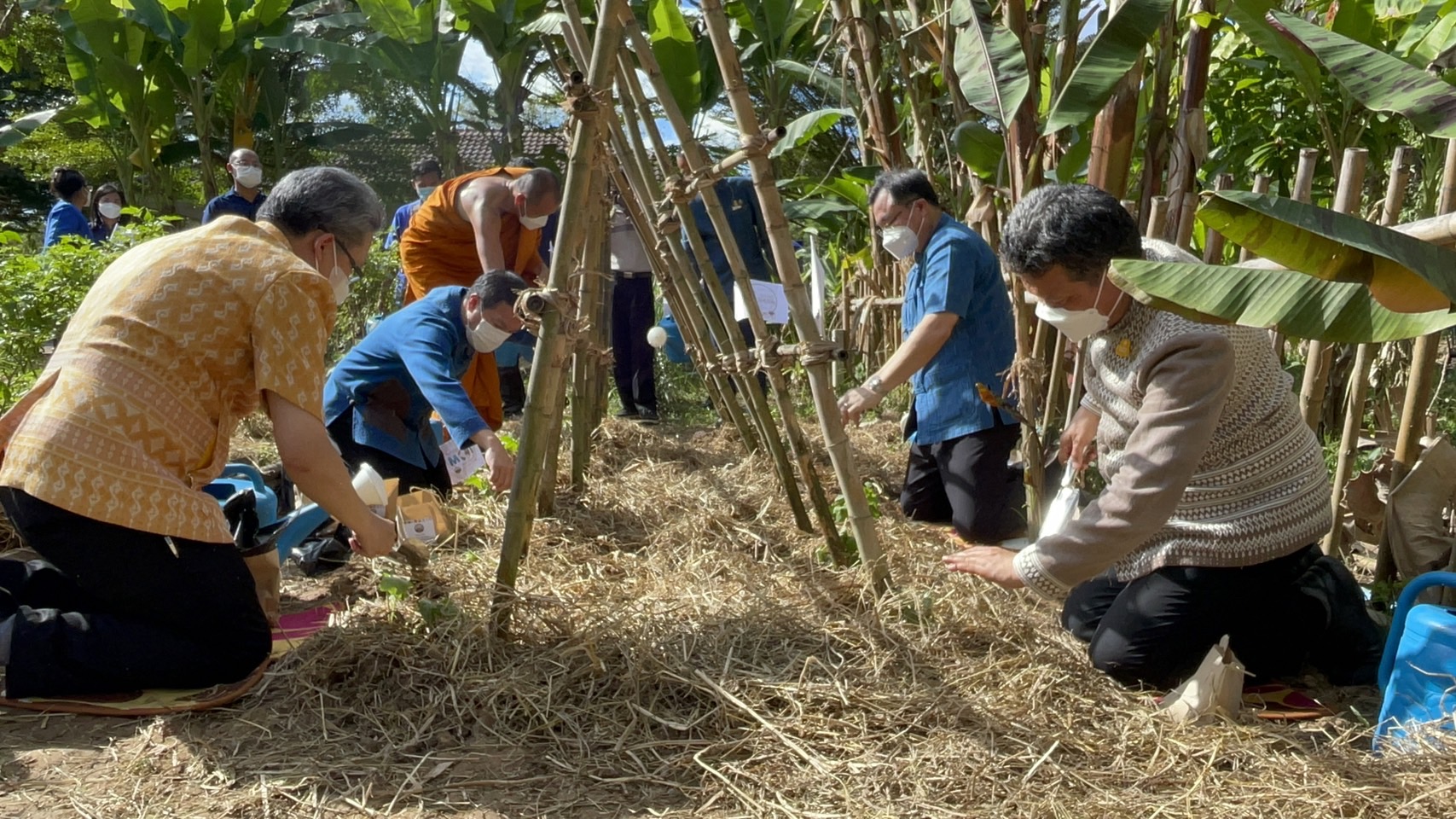 ??ปลัด มท. ร่วมกิจกรรม วันดินโลก (World Soil Day) บำรุงป่า รักษาผืนดิน  เทิดพระเกียรติ องค์ภูมิพลฯ