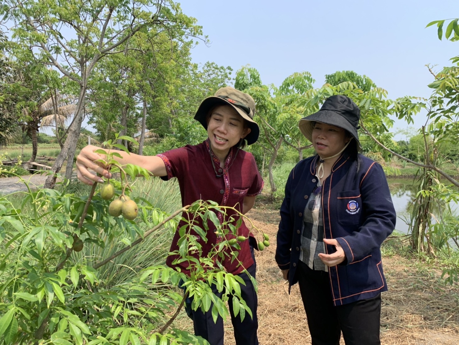 พช. ฉะเชิงเทรา จัดทำทะเบียนพันธุ์พืช โครงการเสริมสร้างการเรียนรู้พันธุกรรมพืช