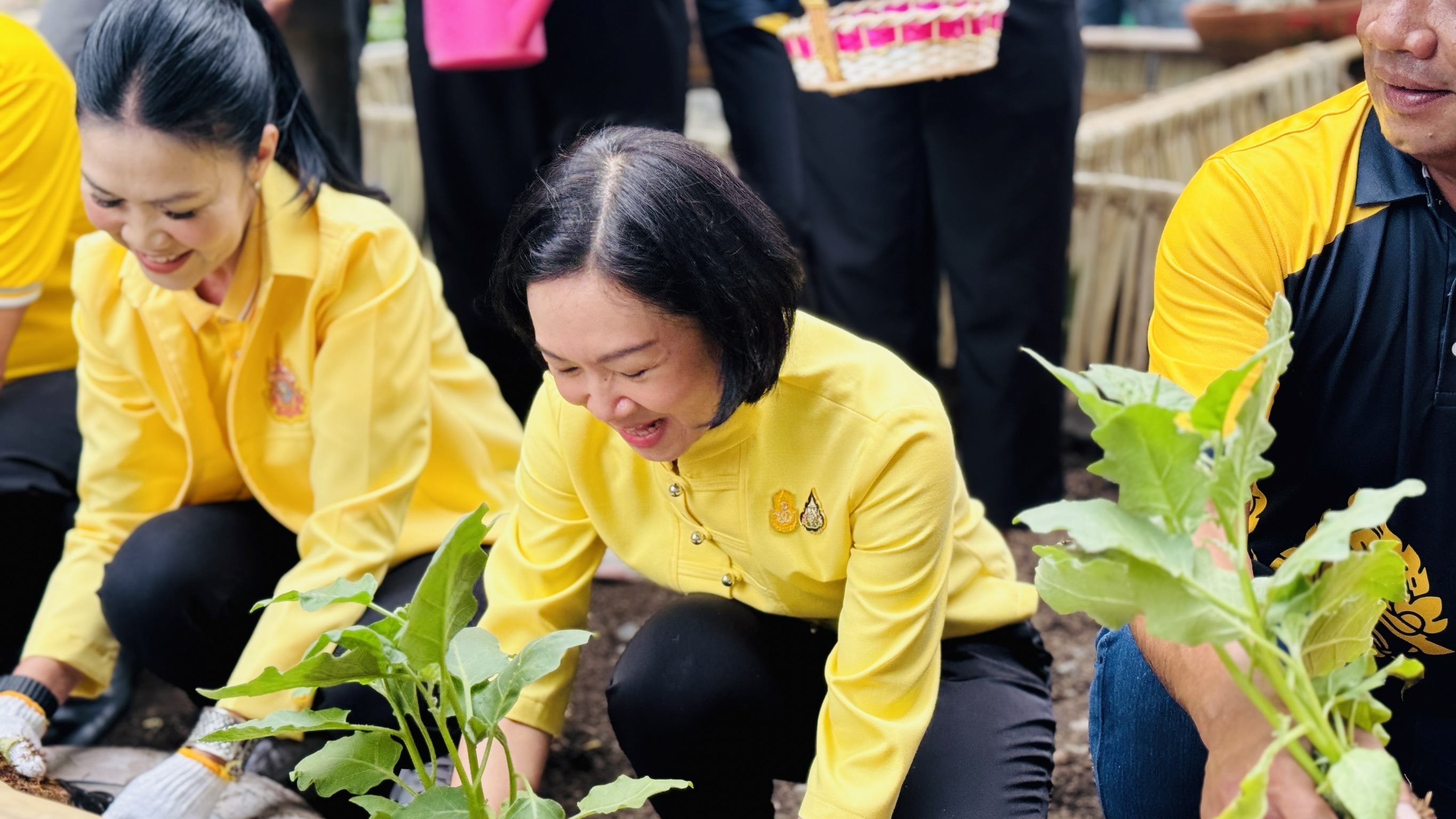 พช. ฉะเชิงเทรา ร่วมกิจกรรม “วัดนี้มีรัก ปลูกผักแบ่งปัน” ขับเคลื่อนโครงการตำบลเข้มแข็ง ตามหลักปรัชญาของเศรษฐกิจพอเพียง