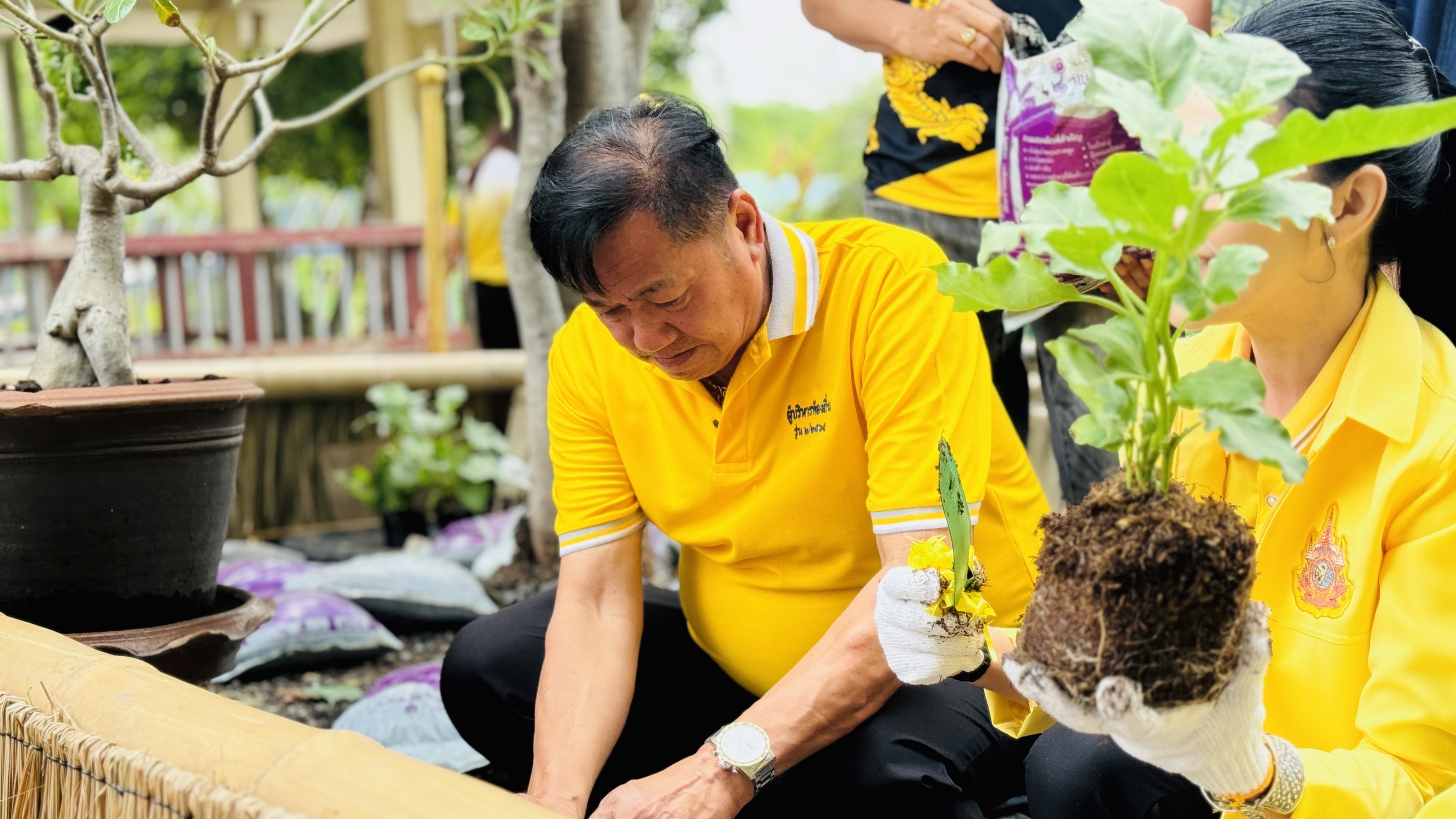 พช. ฉะเชิงเทรา ร่วมกิจกรรม “วัดนี้มีรัก ปลูกผักแบ่งปัน” ขับเคลื่อนโครงการตำบลเข้มแข็ง ตามหลักปรัชญาของเศรษฐกิจพอเพียง