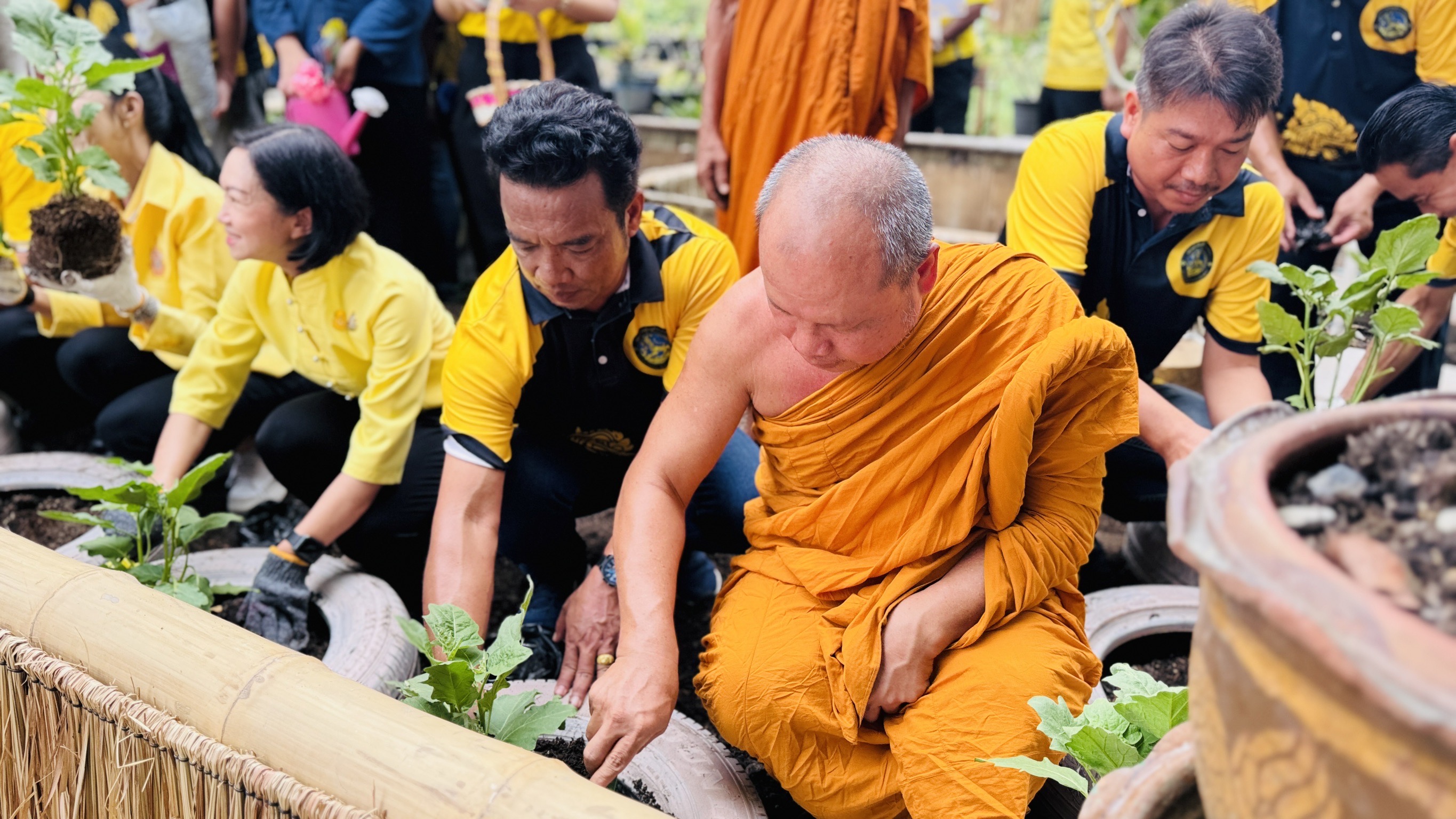 พช. ฉะเชิงเทรา ร่วมกิจกรรม “วัดนี้มีรัก ปลูกผักแบ่งปัน” ขับเคลื่อนโครงการตำบลเข้มแข็ง ตามหลักปรัชญาของเศรษฐกิจพอเพียง