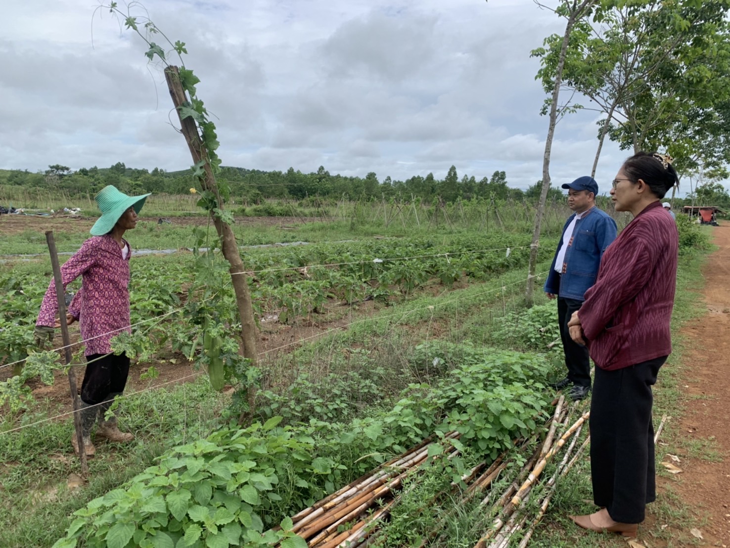 พช. ฉะเชิงเทรา ร่วมสนับสนุนการพัฒนาหมู่บ้านคนรักษ์ช้าง กิจกรรมย่อยที่ ๒.๑.๒ พัฒนาหมู่บ้านคนรักษ์ช้างสนับสนุนการขับเคลื่อนการดำเนินงานภายใต้โครงการพัชรสุธาคษานุรักษ์จังหวัดฉะเชิงเทรา