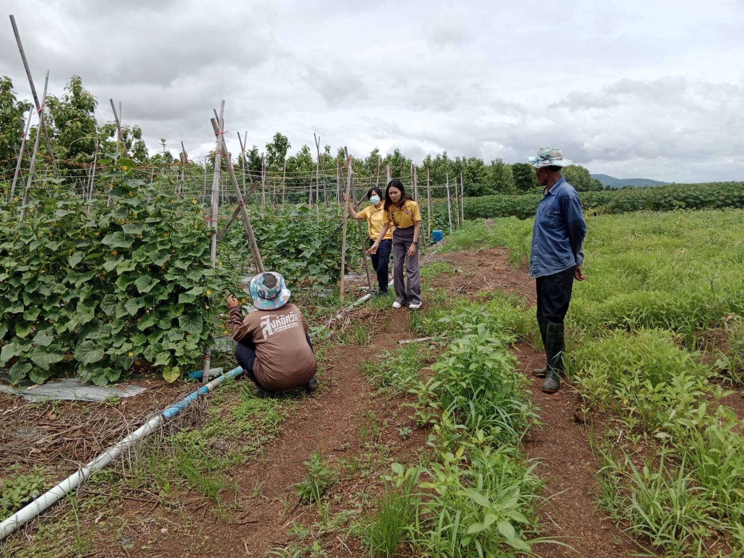 “พช.ฉะเชิงเทรา ลงพื้นที่ติดตามการดำเนินงานกองทุนพัฒนาบทบาทสตรี ”