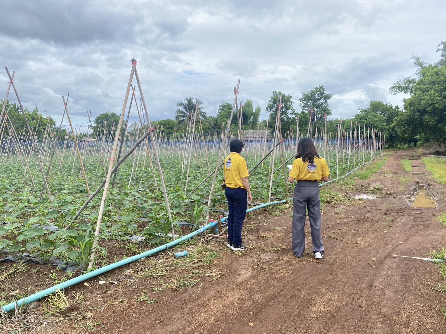 “พช.ฉะเชิงเทรา ลงพื้นที่ติดตามการดำเนินงานกองทุนพัฒนาบทบาทสตรี ”