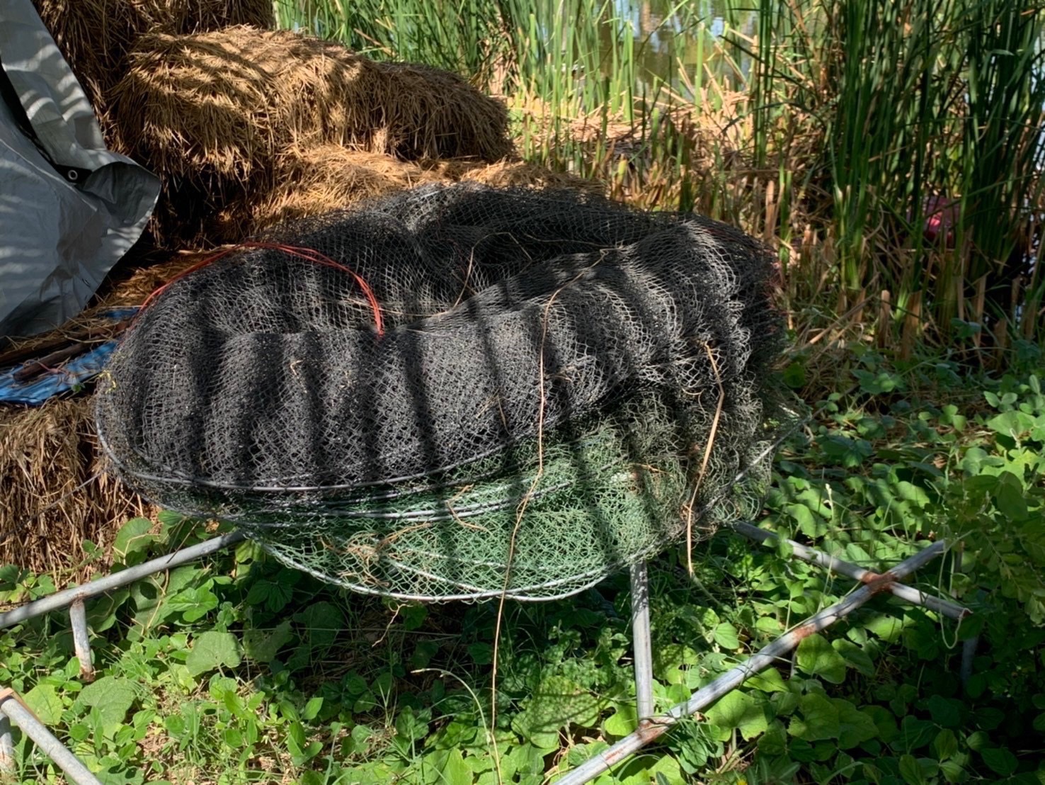 “พช.ฉะเชิงเทรา ลงพื้นที่ติดตามการดำเนินงานกองทุนพัฒนาบทบาทสตรี ”