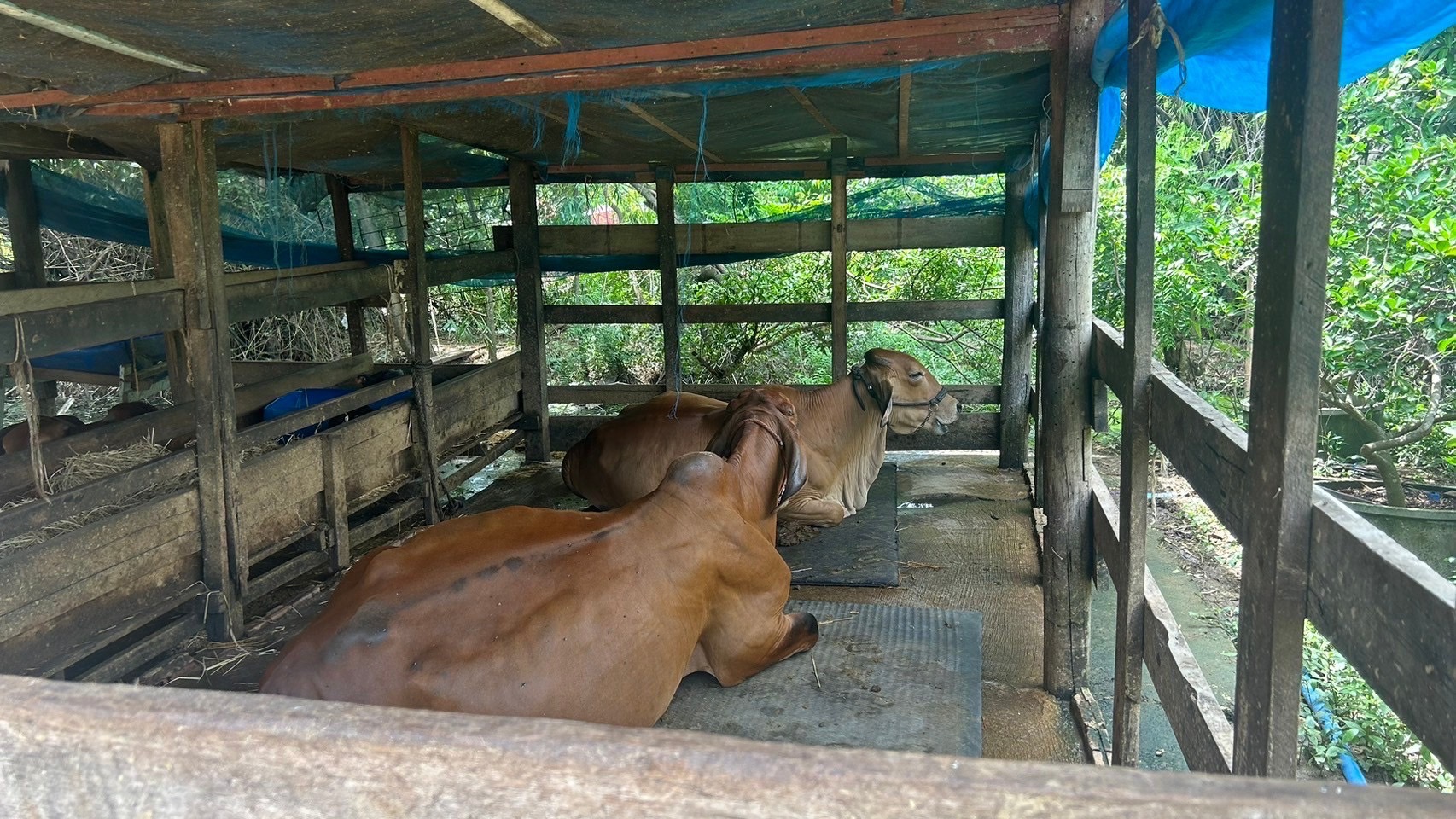 “พช.ฉะเชิงเทรา ลงพื้นที่ติดตามการดำเนินงานกองทุนพัฒนาบทบาทสตรี ”