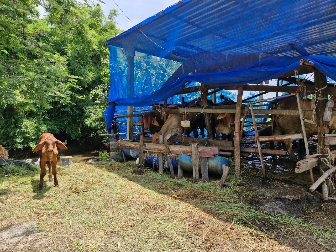 “พช.ฉะเชิงเทรา ลงพื้นที่ติดตามการดำเนินงานกองทุนพัฒนาบทบาทสตรี ”