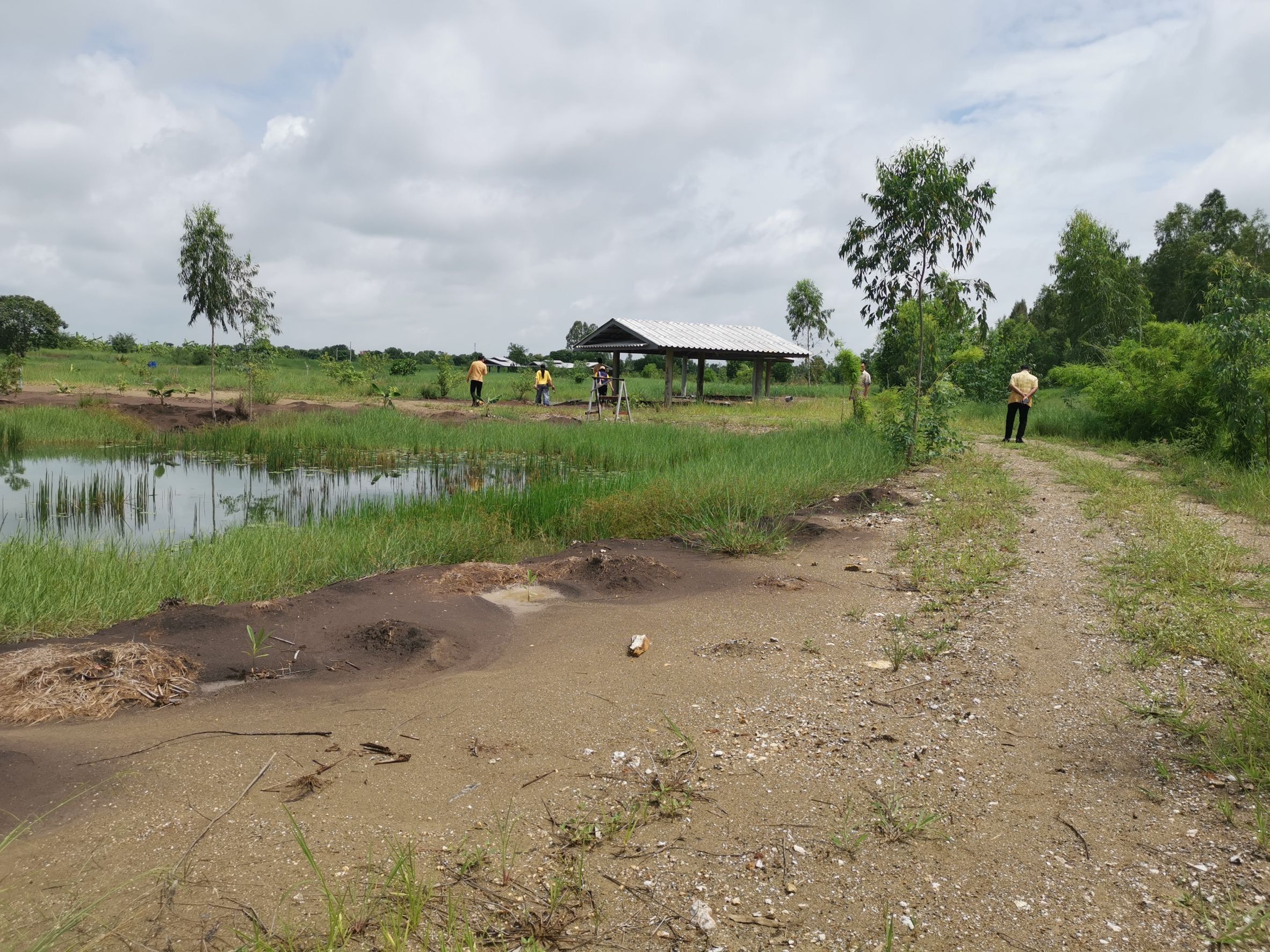 พช. ฉะเชิงเทรา รับการตรวจราชการของผู้ตรวจราชการกรมการพัฒนาชุมชน