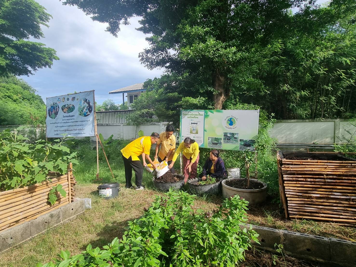 🤝 พช.ฉะเชิงเทรา น้อมนำแนวพระราชดำริของสมเด็จพระกนิษฐาธิราชเจ้า กรมสมเด็จพระเทพรัตนราชสุดาฯ สยามบรมราชกุมารี ปลูกผักสวนครัวเพื่อสร้างความมั่นคงทางอาหาร
