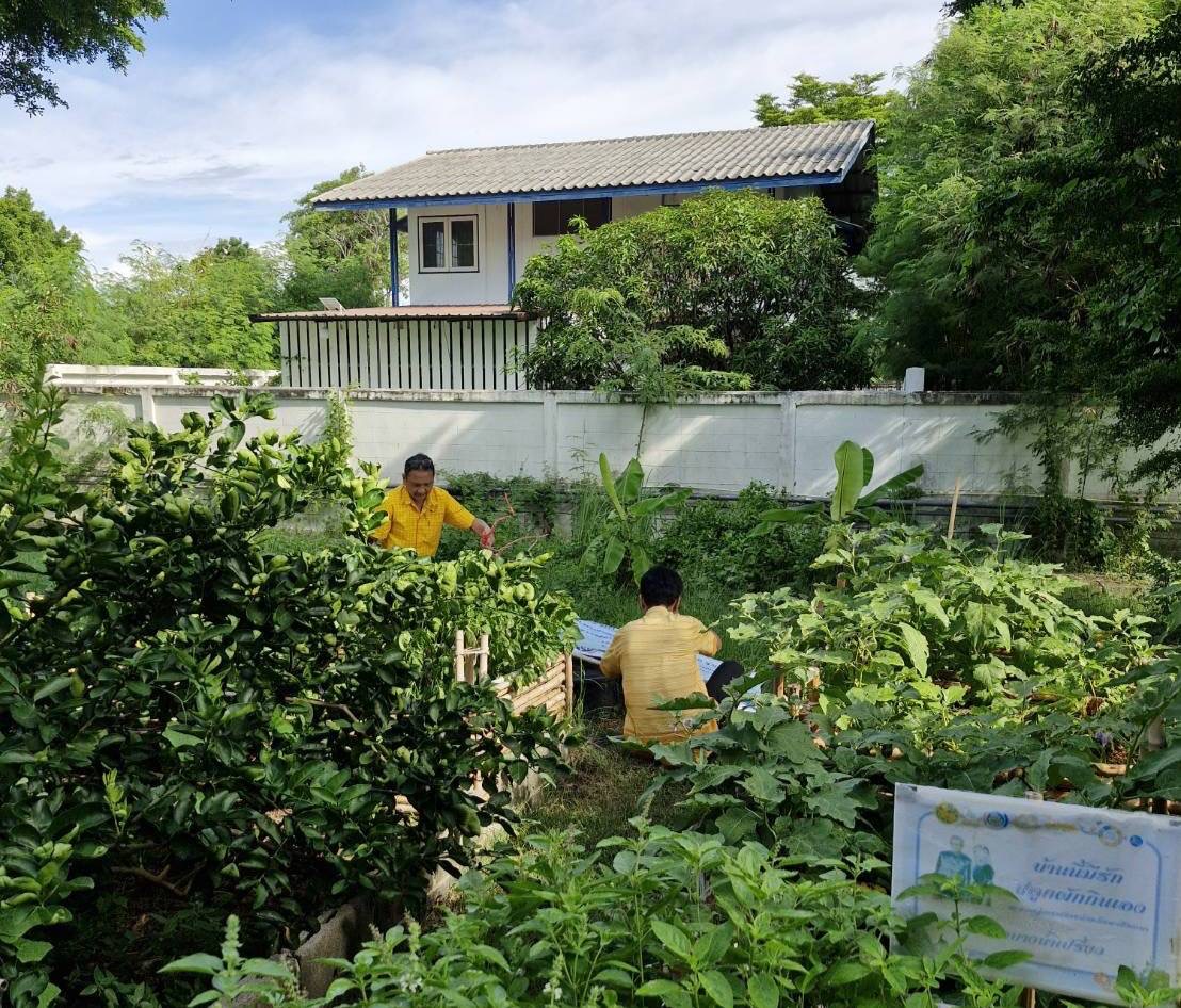 🤝 พช.ฉะเชิงเทรา น้อมนำแนวพระราชดำริของสมเด็จพระกนิษฐาธิราชเจ้า กรมสมเด็จพระเทพรัตนราชสุดาฯ สยามบรมราชกุมารี ปลูกผักสวนครัวเพื่อสร้างความมั่นคงทางอาหาร