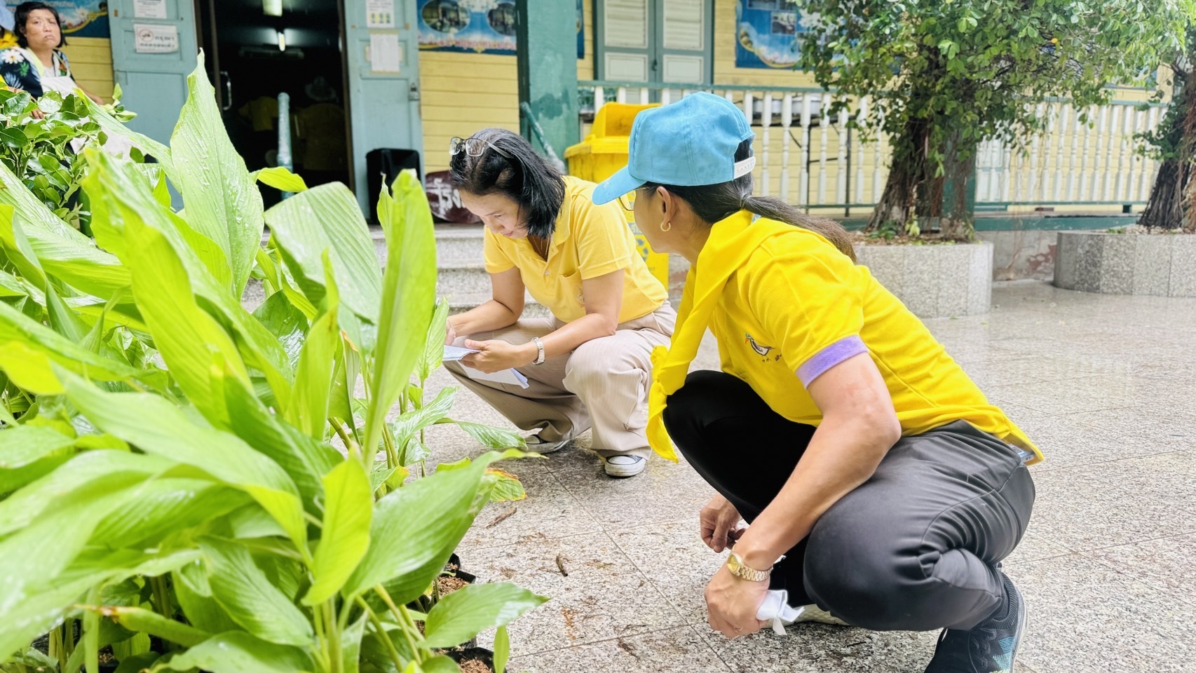 พช.ฉะเชิงเทรา ติดตามการดำเนินโครงการฝึกอบรมการปลูกผักสวนครัว Model 30 ตารางวา ตามหลักปรัชญาของเศรษฐกิจพอเพียง (แค่เอื้อม ก็อิ่ม) จังหวัดฉะเชิงเทรา