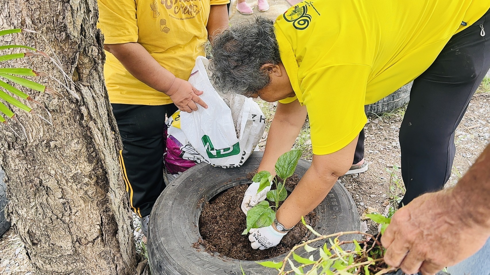 พช.ฉะเชิงเทรา ติดตามการดำเนินโครงการฝึกอบรมการปลูกผักสวนครัว Model 30 ตารางวา ตามหลักปรัชญาของเศรษฐกิจพอเพียง (แค่เอื้อม ก็อิ่ม) จังหวัดฉะเชิงเทรา