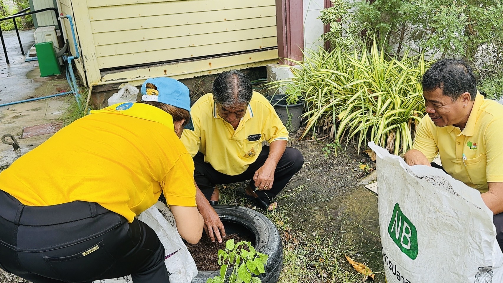 พช.ฉะเชิงเทรา ติดตามการดำเนินโครงการฝึกอบรมการปลูกผักสวนครัว Model 30 ตารางวา ตามหลักปรัชญาของเศรษฐกิจพอเพียง (แค่เอื้อม ก็อิ่ม) จังหวัดฉะเชิงเทรา