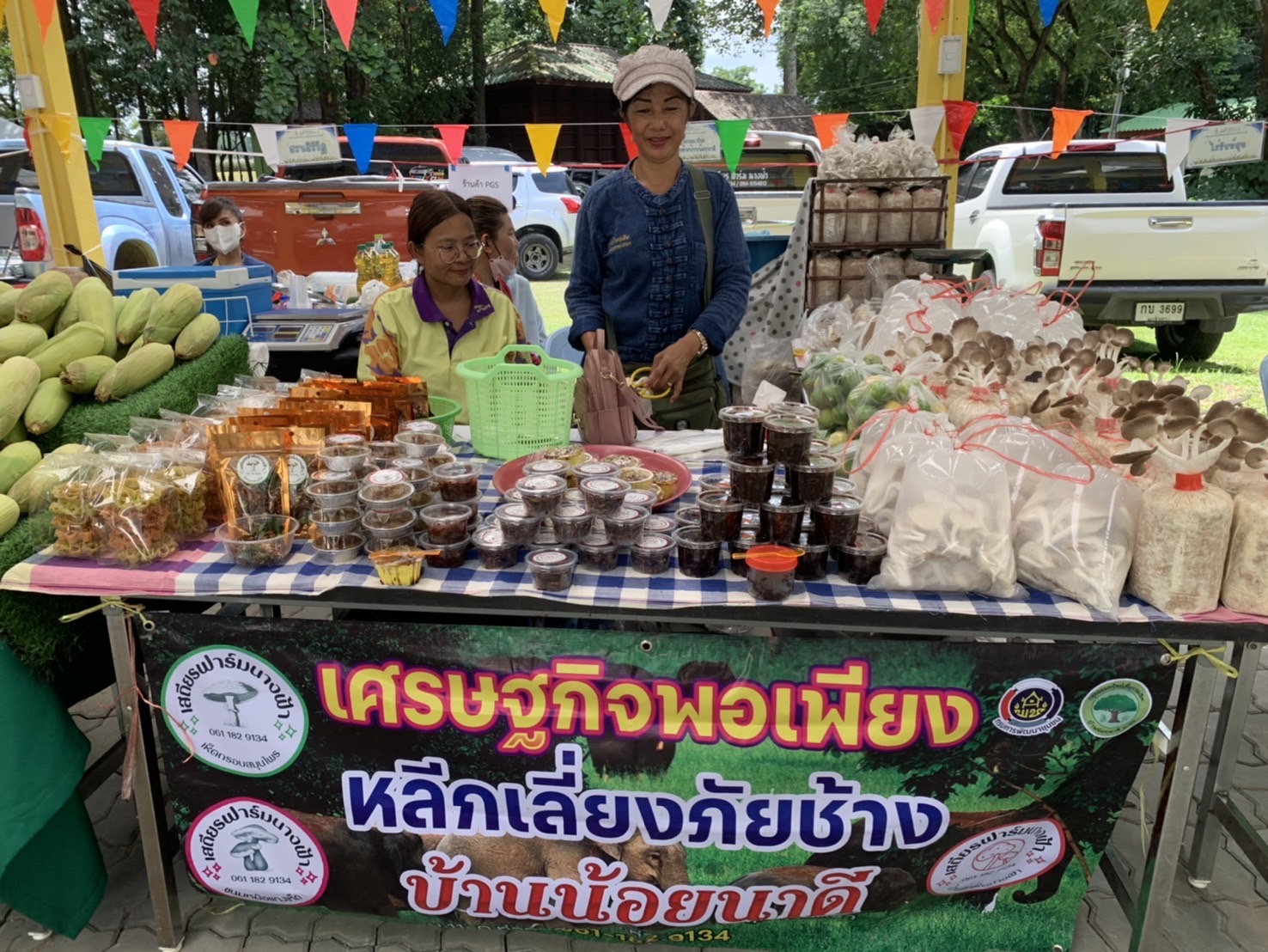 พช. ฉะเชิงเทรา ร่วมงานวันคล้ายวันสถาปนาศูนย์ศึกษาการพัฒนาเขาหินซ้อนอันเนื่องมาจากพระราชดำริ “45 ปี แห่งการพัฒนา 72 พรรษา มหามงคล”
