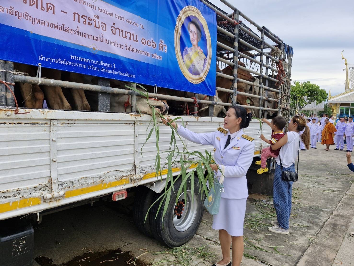 พช. ฉะเชิงเทรา ร่วมกิจกรรมเฉลิมพระเกียรติถวายเป็นพระราชกุศลแด่สมเด็จพระนางเจ้าสิริกิติ์ พระบรมราชินีนาถ พระบรมราชชนนีพันปีหลวง เนื่องในโอกาสวันเฉลิมพระชนมพรรษา ๑๒ สิงหาคม”