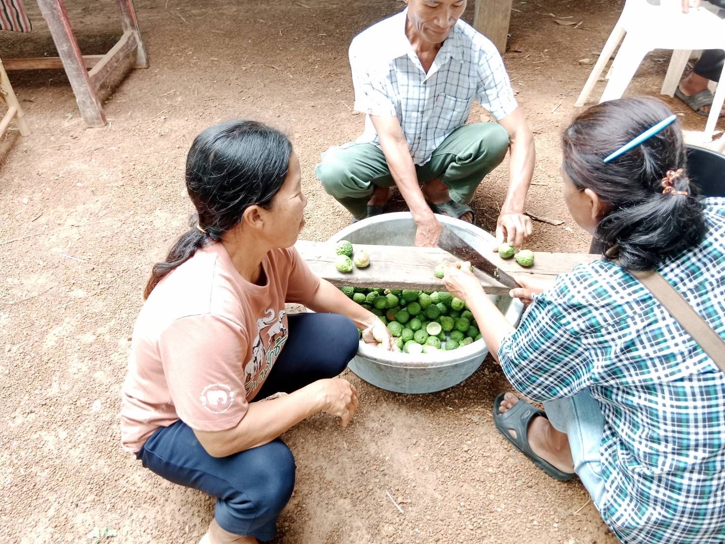 ติดตามโครงการสนับสนุนการขับเคลื่อนเขตพัฒนาเศรษฐกิจพอเพียง (Sufficiency Economy Development Zone (SEDZ) : ส่งเสริมการสร้างชุมชนเศรษฐกิจพอเพียงต้นแบบจังหวัดฉะเชิงเทรา