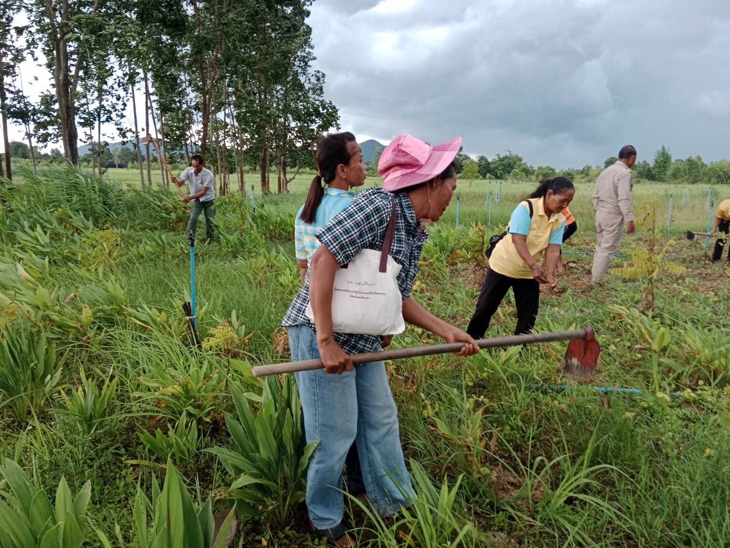 ติดตามโครงการสนับสนุนการขับเคลื่อนเขตพัฒนาเศรษฐกิจพอเพียง (Sufficiency Economy Development Zone (SEDZ) : ส่งเสริมการสร้างชุมชนเศรษฐกิจพอเพียงต้นแบบจังหวัดฉะเชิงเทรา