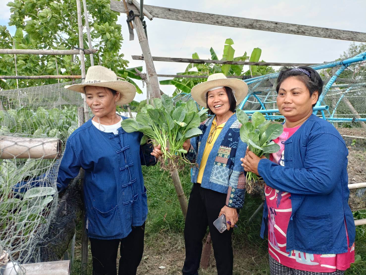 💥 พช. ฉะเชิงเทรา จัดประชุมวางแผน ออกแบบการขับเคลื่อนกิจกรรมต่อยอดและขยายผลการน้อมนำแนวพระราชดำริของสมเด็จพระกนิษฐาธิราชเจ้า กรมสมเด็จพระเทพรัตนราชสุดาฯ สยามบรมราชกุมารี สู่ปฏิบัติการปลูกผักสวนครัว สร้างความมั่นคงทางอาหาร ประจำปีงบประมาณ พ.ศ. 2567