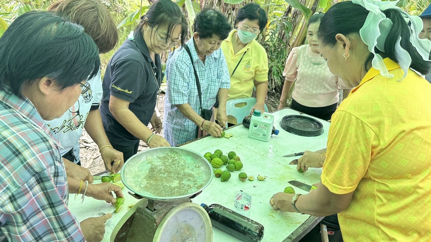 ⚡️ติดตามโครงการสนับสนุนการขับเคลื่อนเขตพัฒนาเศรษฐกิจพอเพียง (Sufficiency Economy Development Zone (SEDZ) : ส่งเสริมการสร้างชุมชนเศรษฐกิจพอเพียงต้นแบบจังหวัดฉะเชิงเทรา⚡️