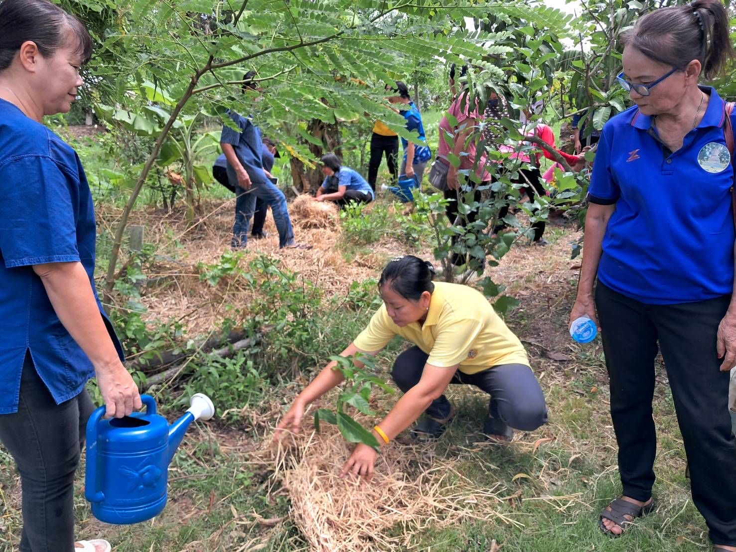 ⚡️ติดตามโครงการสนับสนุนการขับเคลื่อนเขตพัฒนาเศรษฐกิจพอเพียง (Sufficiency Economy Development Zone (SEDZ) : ส่งเสริมการสร้างชุมชนเศรษฐกิจพอเพียงต้นแบบจังหวัดฉะเชิงเทรา⚡️