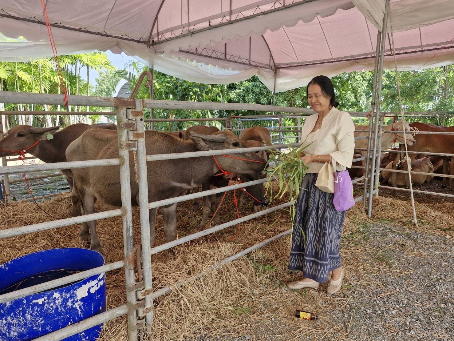 พช. ฉะเชิงเทรา ร่วมแสดงมุทิตาจิตพระภาวนาประชานุกูล วิ. ในโอกาส ได้รับพระราชทานเลื่อนสมณศักดิ์เป็น พระราชวัชรภาวนาโกศล วิ. เจ้าอาวาสวัดวีระโชติธรรมาราม