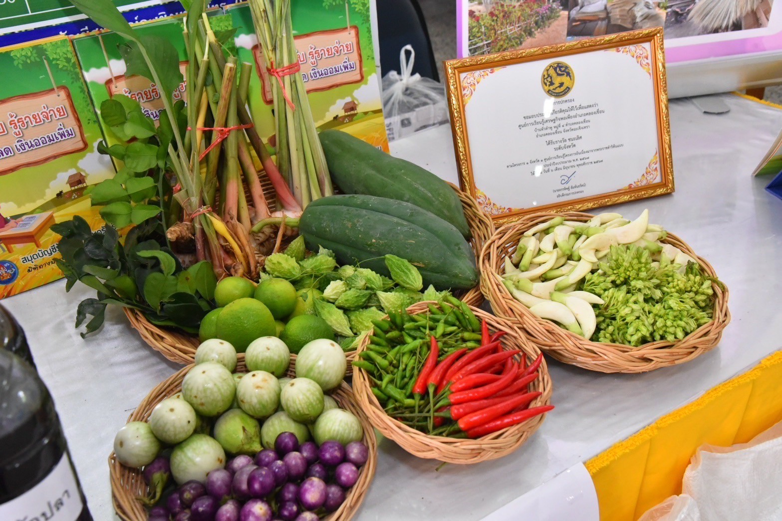 จังหวัดฉะเชิงเทรา จัดตั้งศูนย์สารสนเทศตำบลต้นแบบ เพื่อพัฒนาคุณภาพชีวิตระดับเขตตรวจราชการ