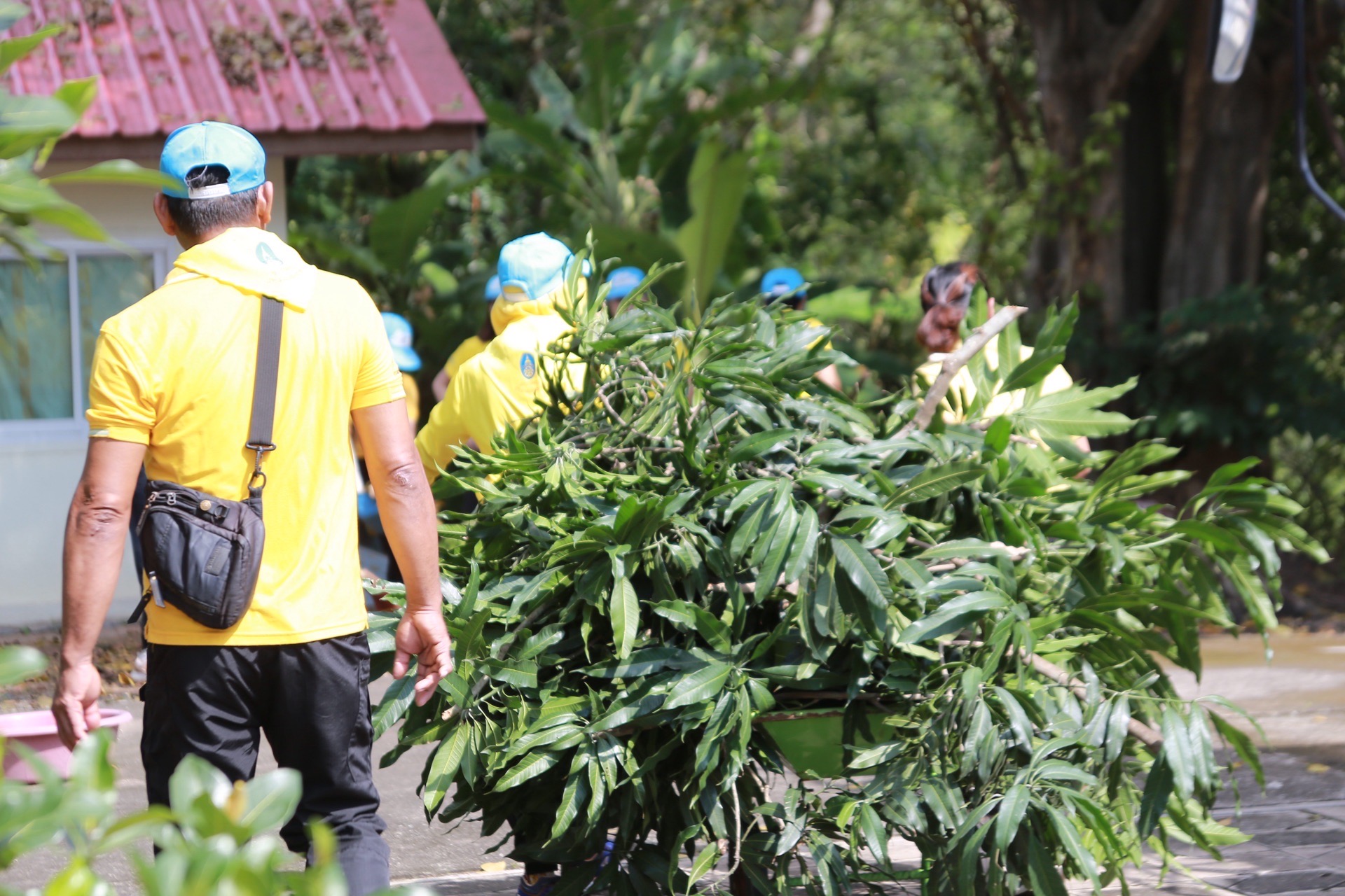 เราทำความดีด้วยหัวใจ ! พช.ฉะเชิงเทรา ร่วมจิตอาสา รวมพลังทำความสะอาดวัดหนองปลาตะเพียน เฉลิมพระเกียรติในหลวง ร.9 วันนวมินทรมหาราช