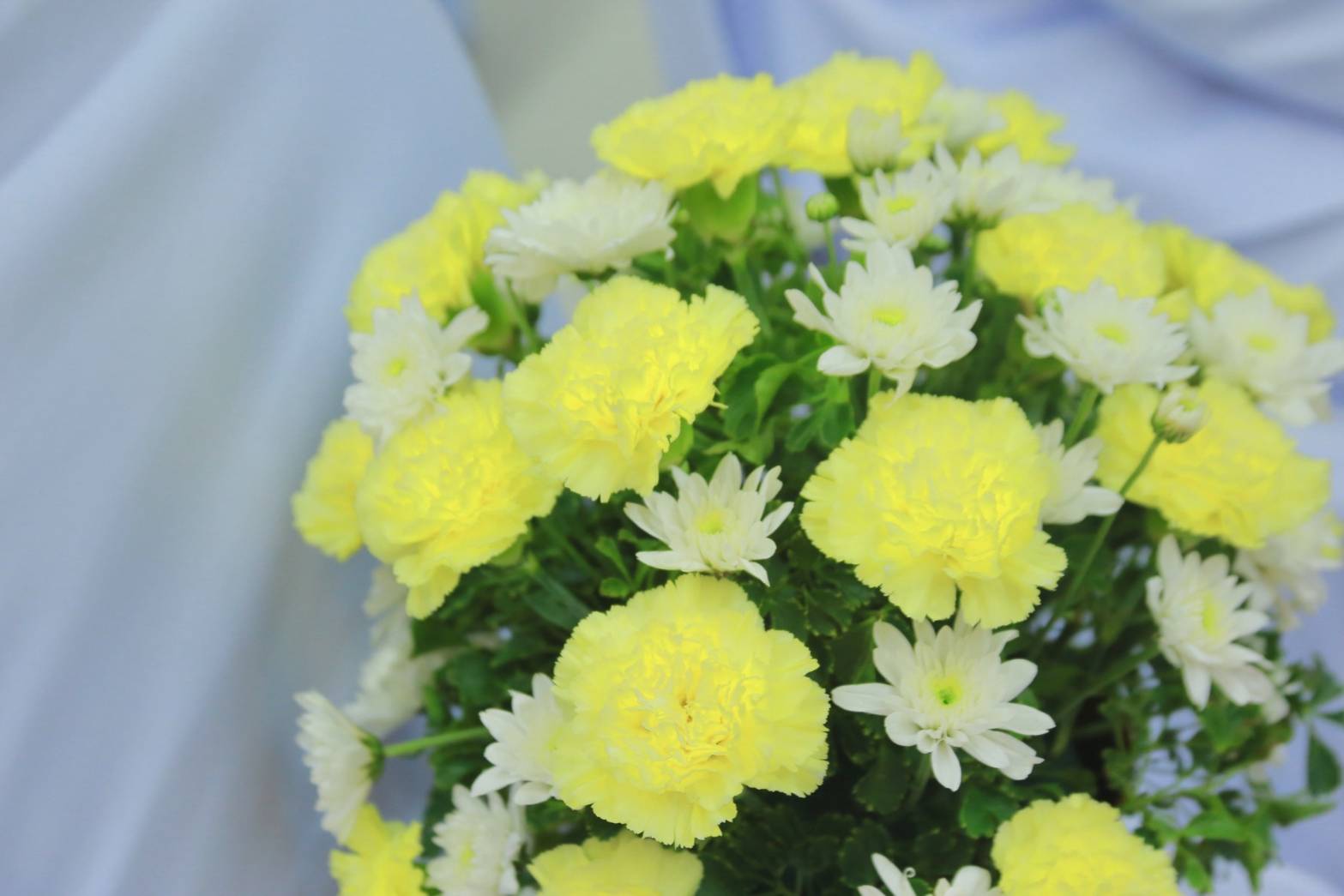 พช.แปดริ้วร่วม“พิธีรำลึกในพระมหากรุณาธิคุณ พระบิดาแห่งฝนหลวง ประจำปี ๒๕๖๗”