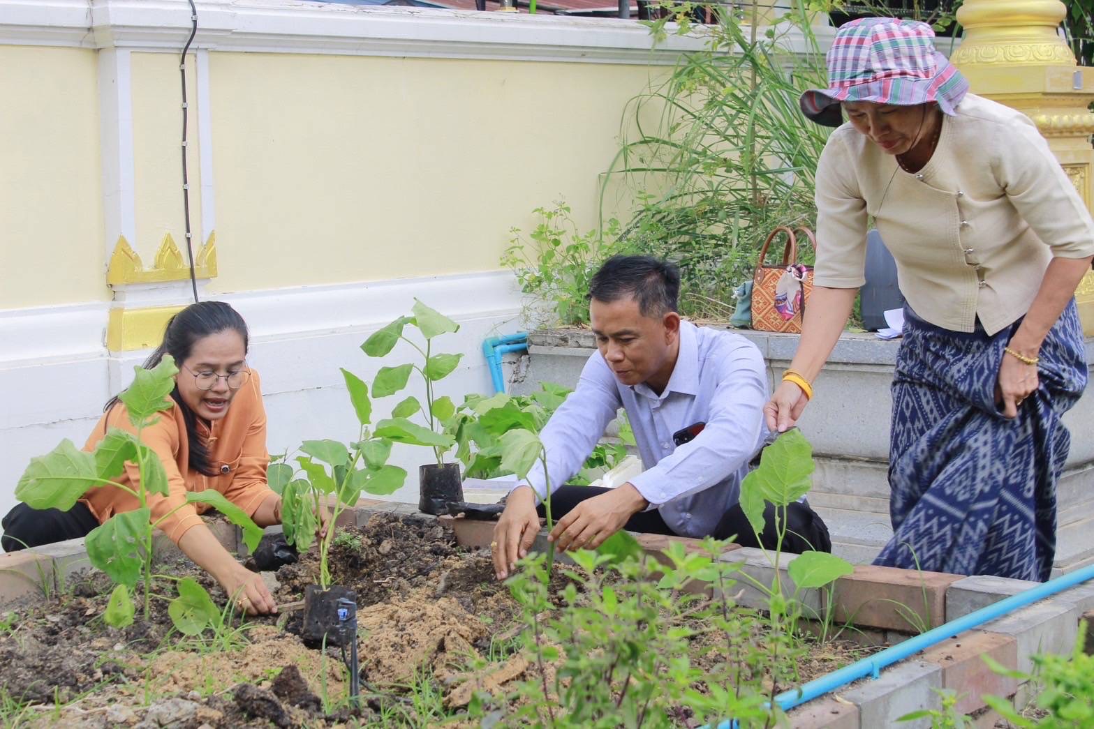 สำนักงานพัฒนาชุมชนฉะเชิงเทรา ร่วมปรับปรุงแปลงผักวัดโสธรฯ มีรัก ปลูกผักแบ่งปัน