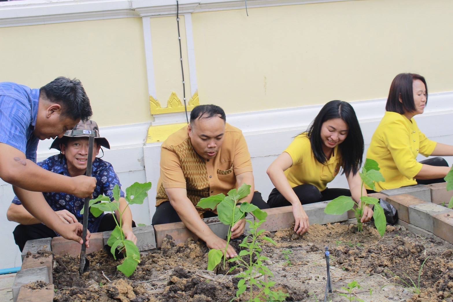 สำนักงานพัฒนาชุมชนฉะเชิงเทรา ร่วมปรับปรุงแปลงผักวัดโสธรฯ มีรัก ปลูกผักแบ่งปัน