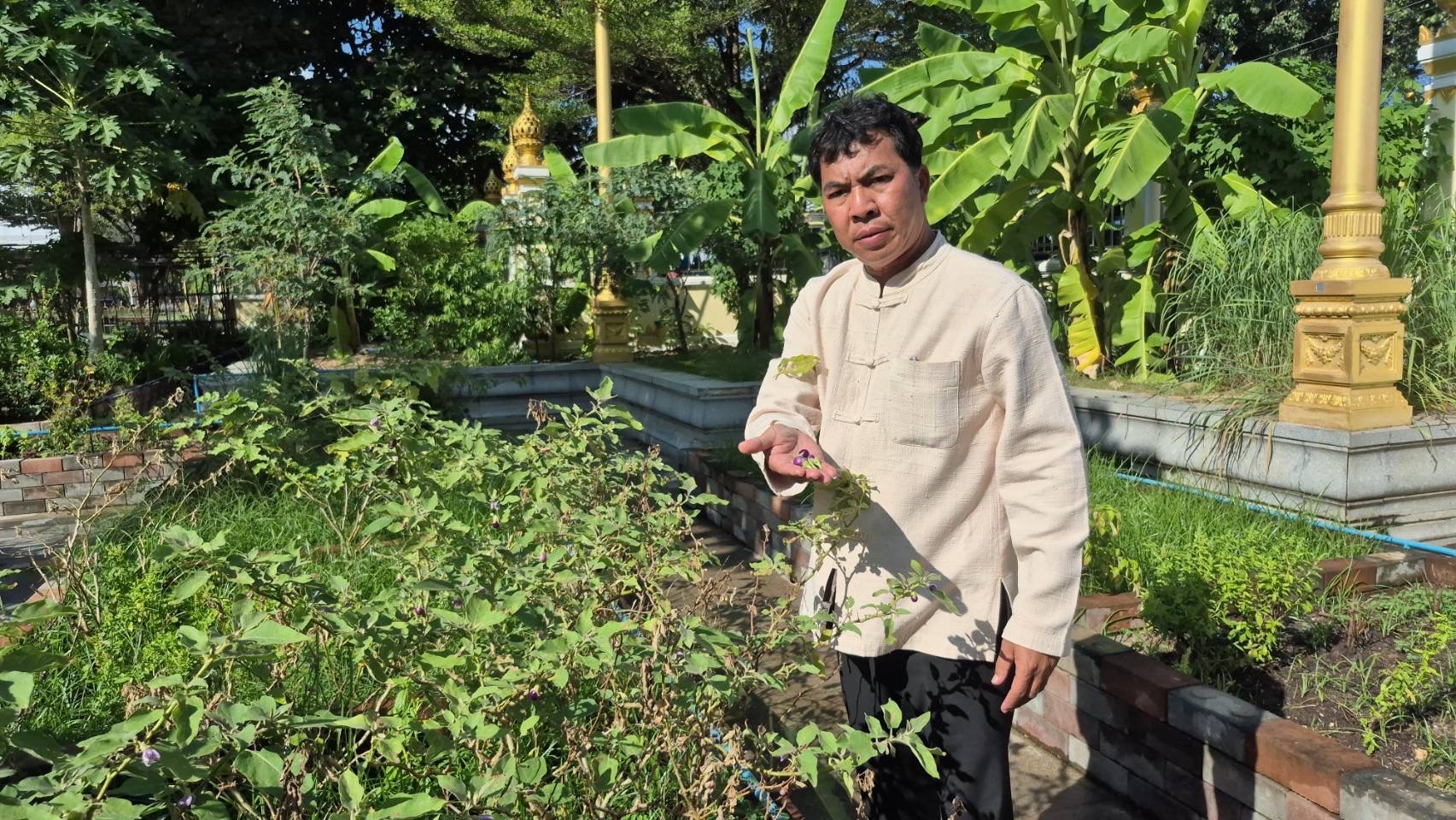 สำนักงานพัฒนาชุมชนฉะเชิงเทรา ร่วมปรับปรุงแปลงผักวัดโสธรฯ มีรัก ปลูกผักแบ่งปัน