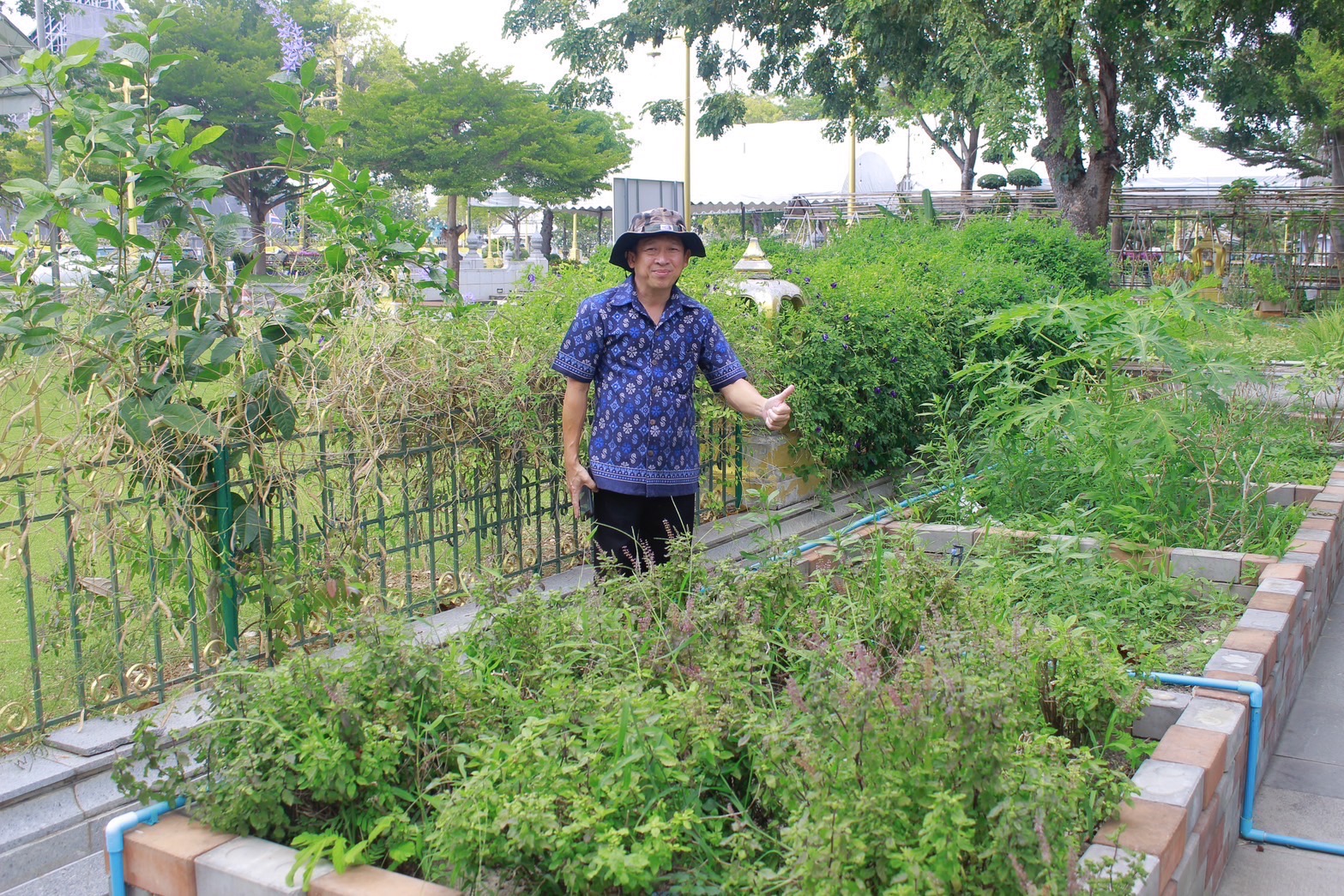 สำนักงานพัฒนาชุมชนฉะเชิงเทรา ร่วมปรับปรุงแปลงผักวัดโสธรฯ มีรัก ปลูกผักแบ่งปัน