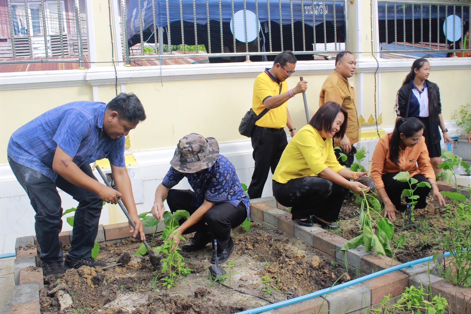 สำนักงานพัฒนาชุมชนฉะเชิงเทรา ร่วมปรับปรุงแปลงผักวัดโสธรฯ มีรัก ปลูกผักแบ่งปัน