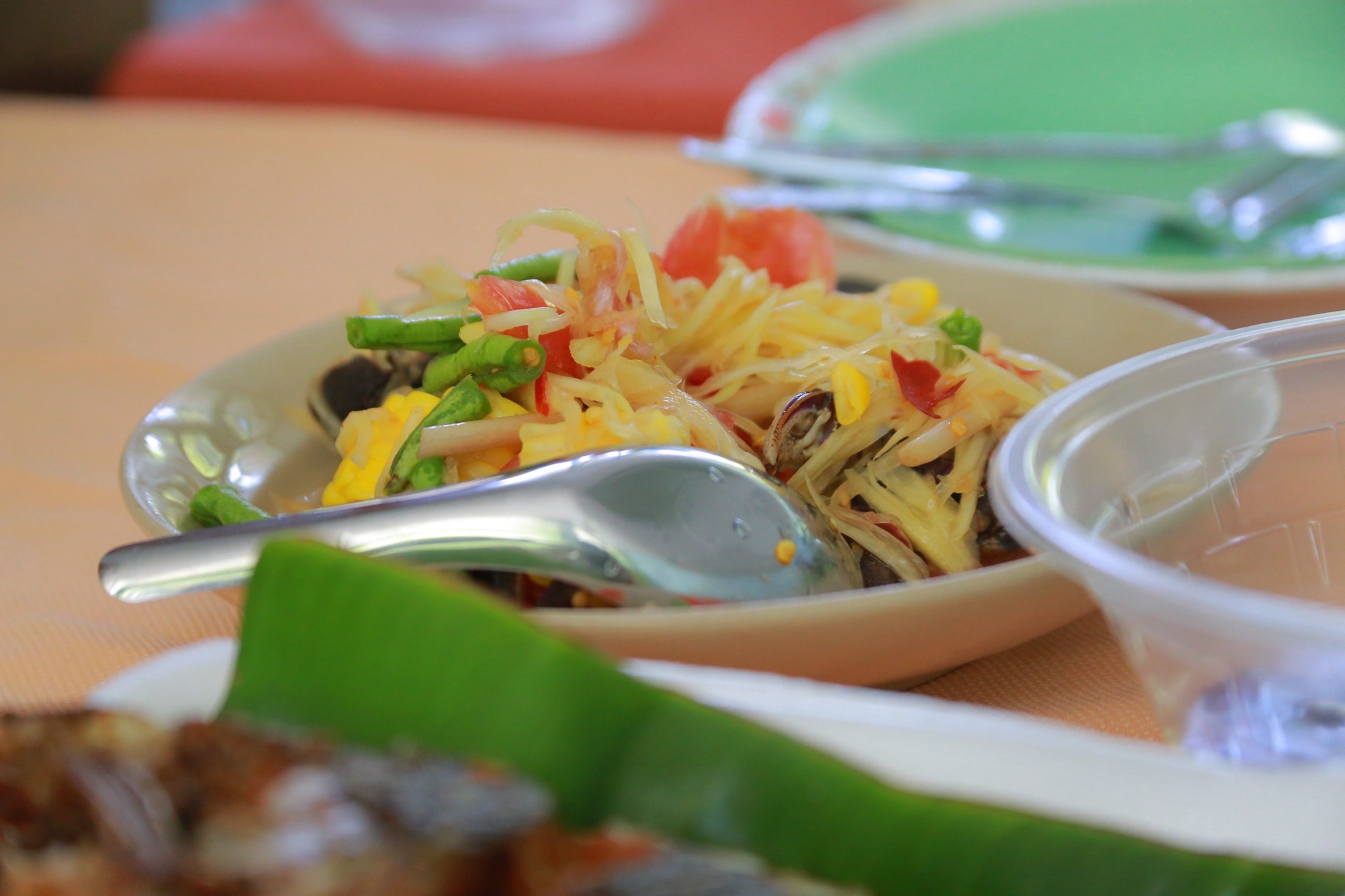 “ส้มตำลีลา รสเด็ด ซ้อมใหญ่ก่อนชิงชัย!” มากับสโลแกน “คำแรกขึ้นสมอง คำสองขึ้นสวรรค์” สำนักงานพัฒนาชุมชนจังหวัดฉะเชิงเทรา ร่วมชมการซ้อมใหญ่ “ตำป่า ลีลา รสเด็ด” จากอำเภอราชสาส์นเตรียมพร้อมประชันความอร่อย