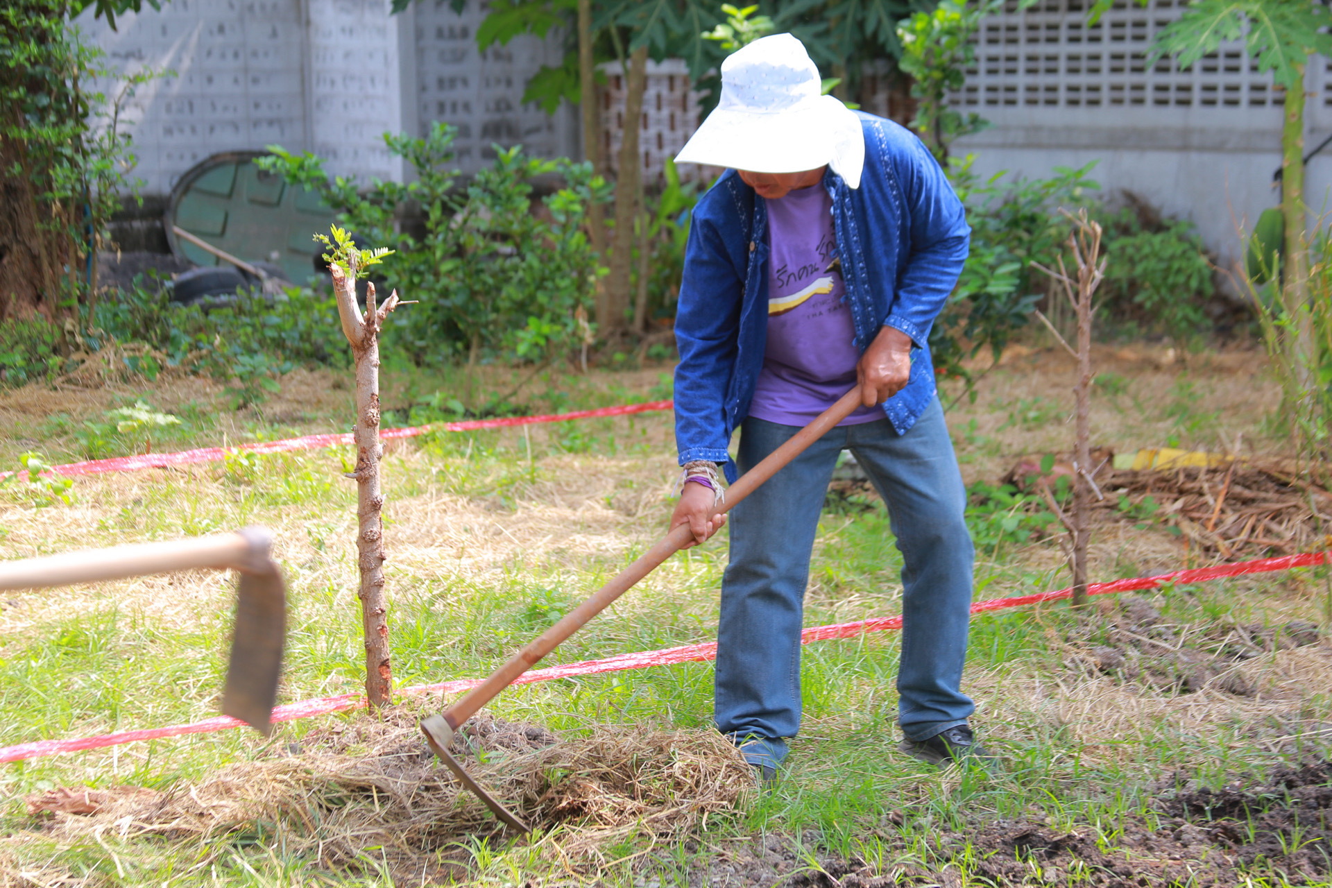 “รวมพลังชุมชน บ้านพอเพียง Model 30 ตารางวา พื้นที่เล็ก สร้างความยิ่งใหญ่ในครัวเรือน สู่ความเข้มแข็งของชุมชน!“