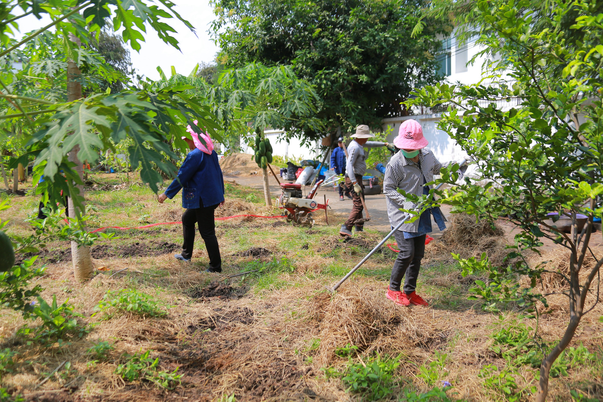 “รวมพลังชุมชน บ้านพอเพียง Model 30 ตารางวา พื้นที่เล็ก สร้างความยิ่งใหญ่ในครัวเรือน สู่ความเข้มแข็งของชุมชน!“