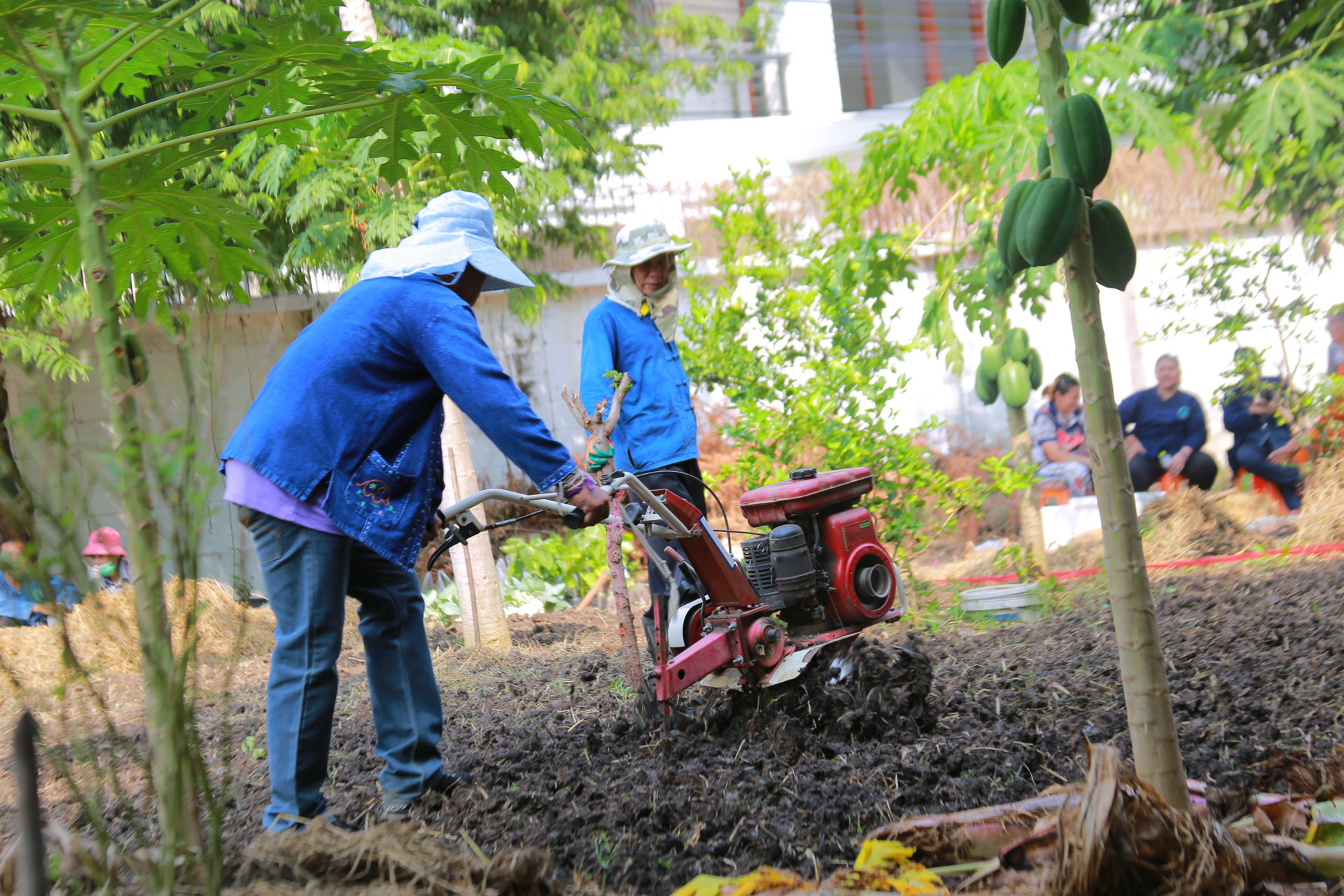 “รวมพลังชุมชน บ้านพอเพียง Model 30 ตารางวา พื้นที่เล็ก สร้างความยิ่งใหญ่ในครัวเรือน สู่ความเข้มแข็งของชุมชน!“