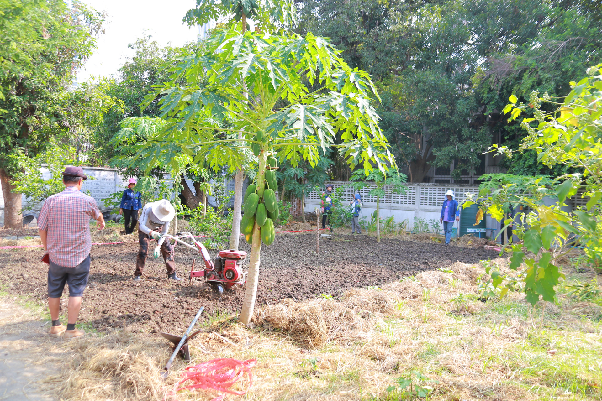 “รวมพลังชุมชน บ้านพอเพียง Model 30 ตารางวา พื้นที่เล็ก สร้างความยิ่งใหญ่ในครัวเรือน สู่ความเข้มแข็งของชุมชน!“