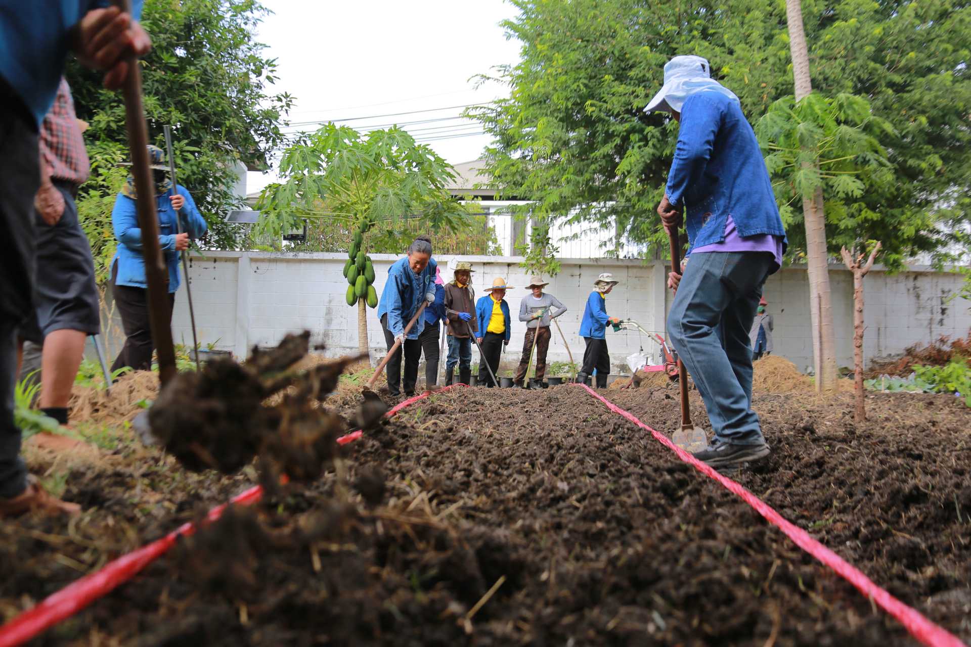 “รวมพลังชุมชน บ้านพอเพียง Model 30 ตารางวา พื้นที่เล็ก สร้างความยิ่งใหญ่ในครัวเรือน สู่ความเข้มแข็งของชุมชน!“