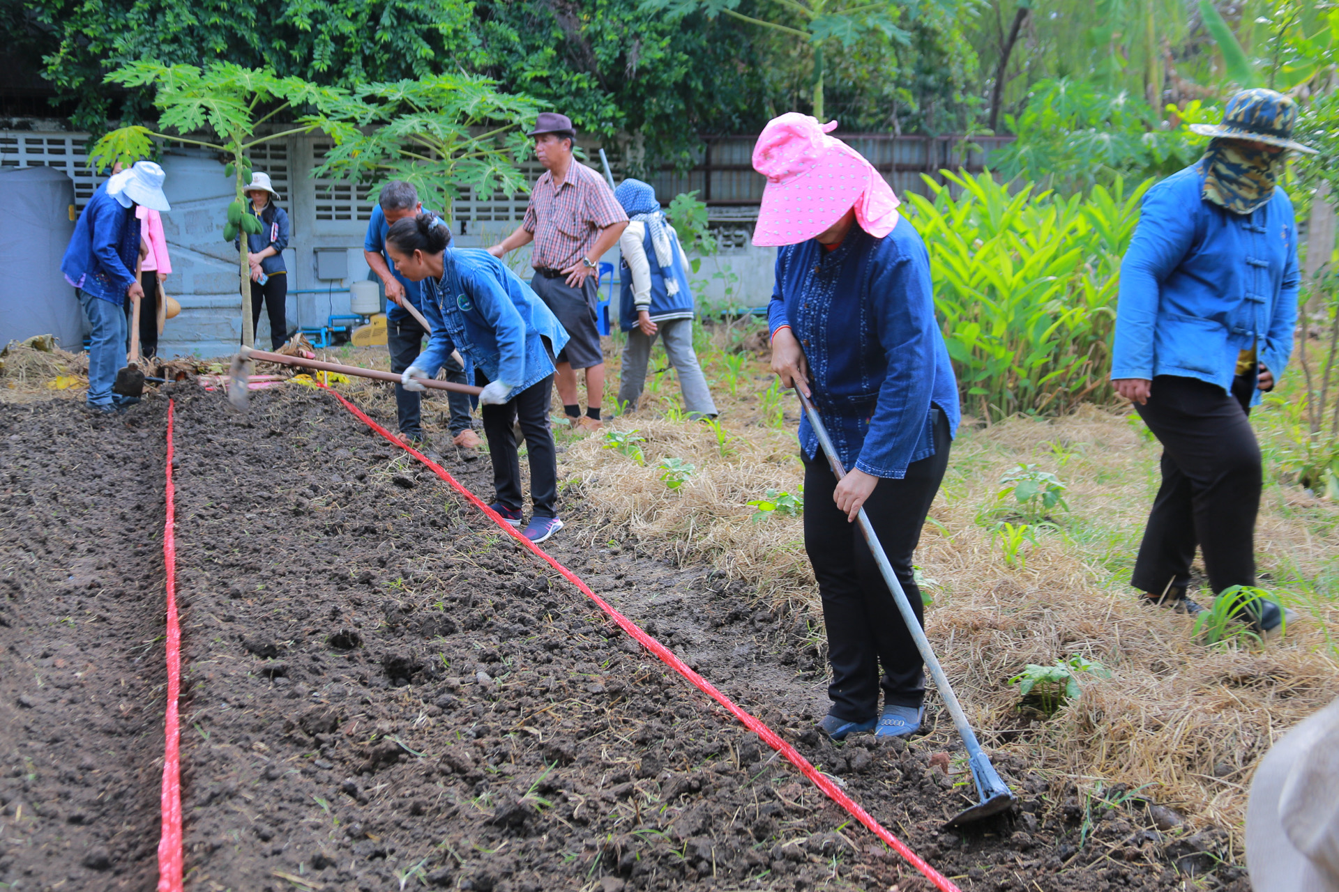 “รวมพลังชุมชน บ้านพอเพียง Model 30 ตารางวา พื้นที่เล็ก สร้างความยิ่งใหญ่ในครัวเรือน สู่ความเข้มแข็งของชุมชน!“