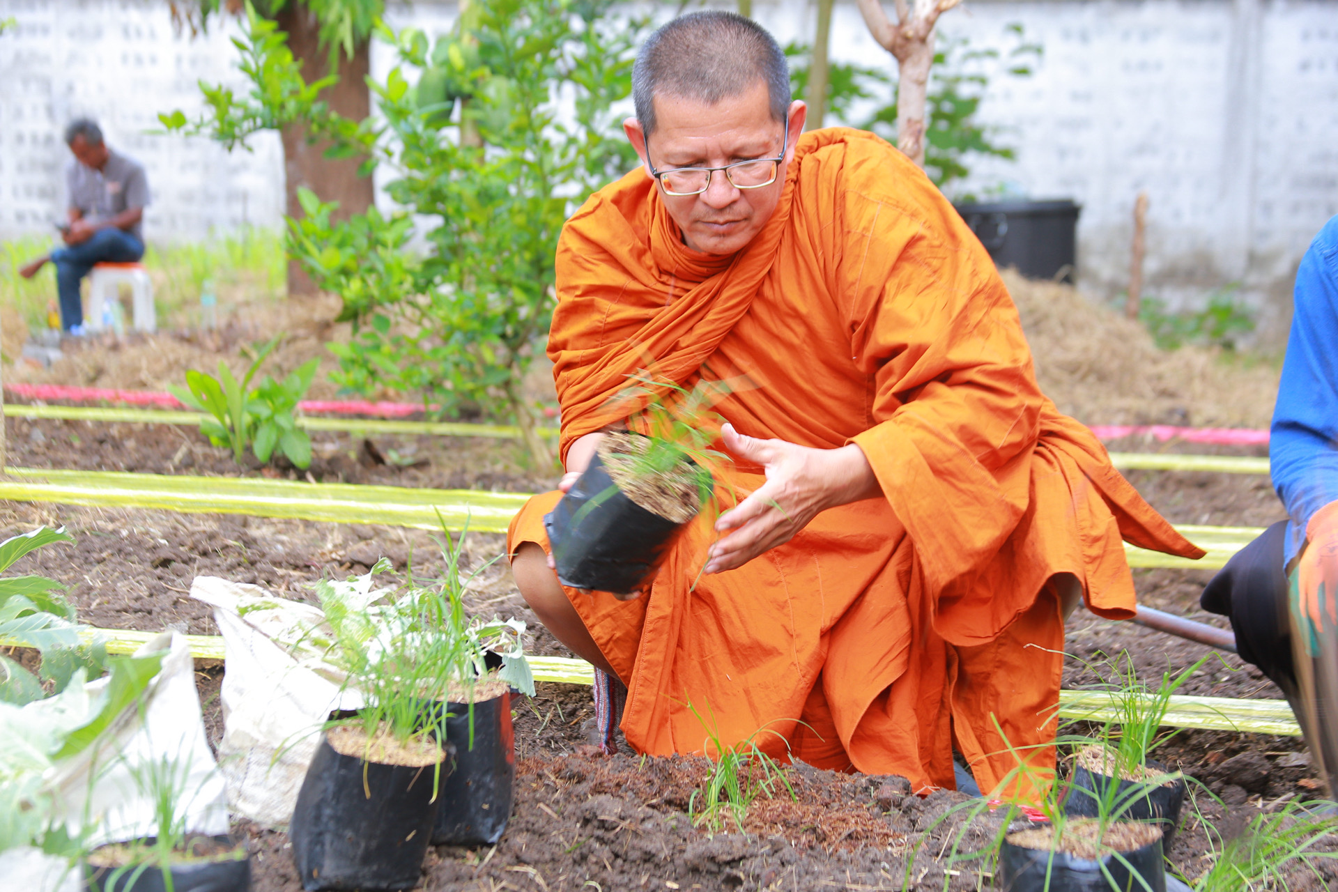 “รวมพลังชุมชน บ้านพอเพียง Model 30 ตารางวา พื้นที่เล็ก สร้างความยิ่งใหญ่ในครัวเรือน สู่ความเข้มแข็งของชุมชน!“