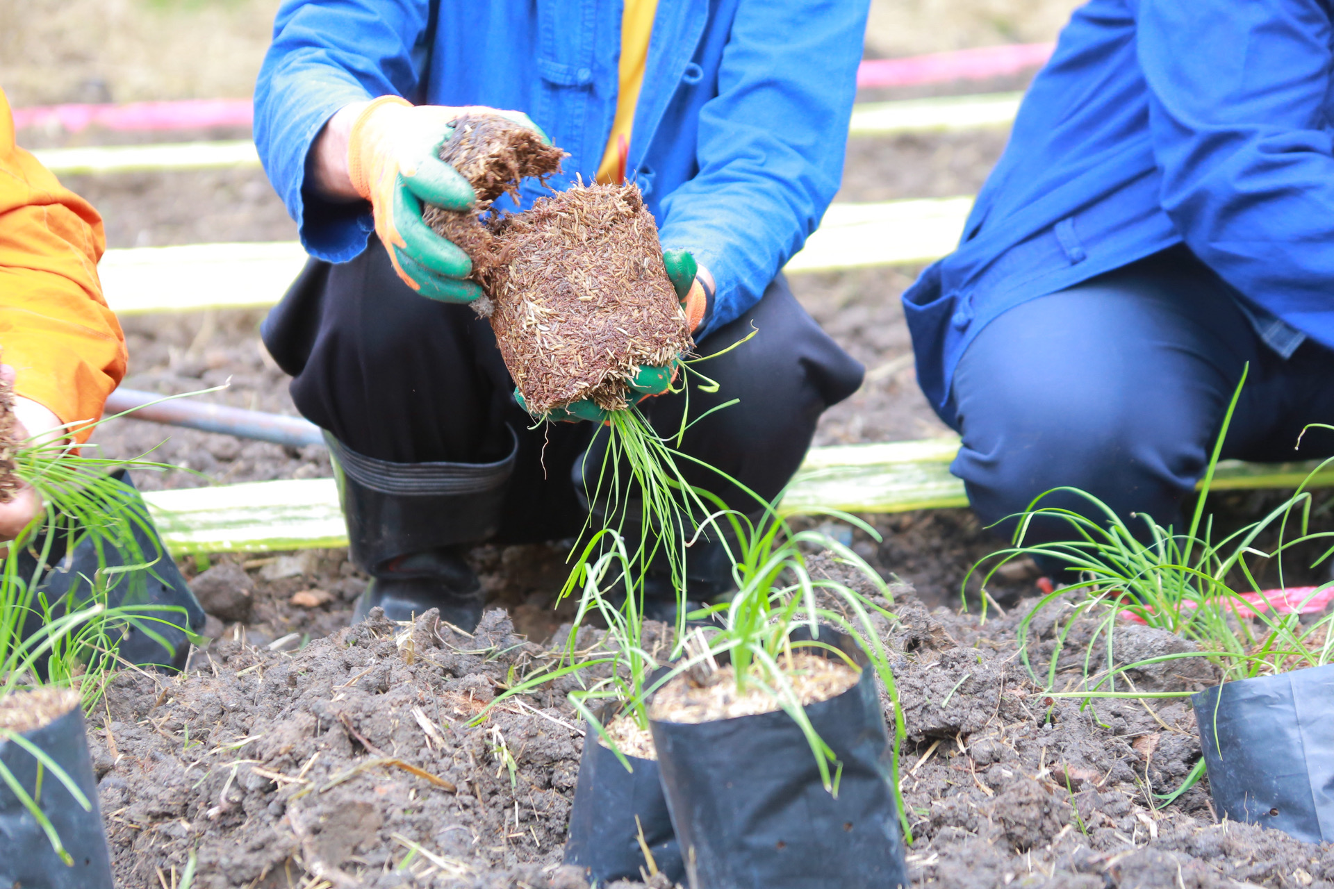 “รวมพลังชุมชน บ้านพอเพียง Model 30 ตารางวา พื้นที่เล็ก สร้างความยิ่งใหญ่ในครัวเรือน สู่ความเข้มแข็งของชุมชน!“