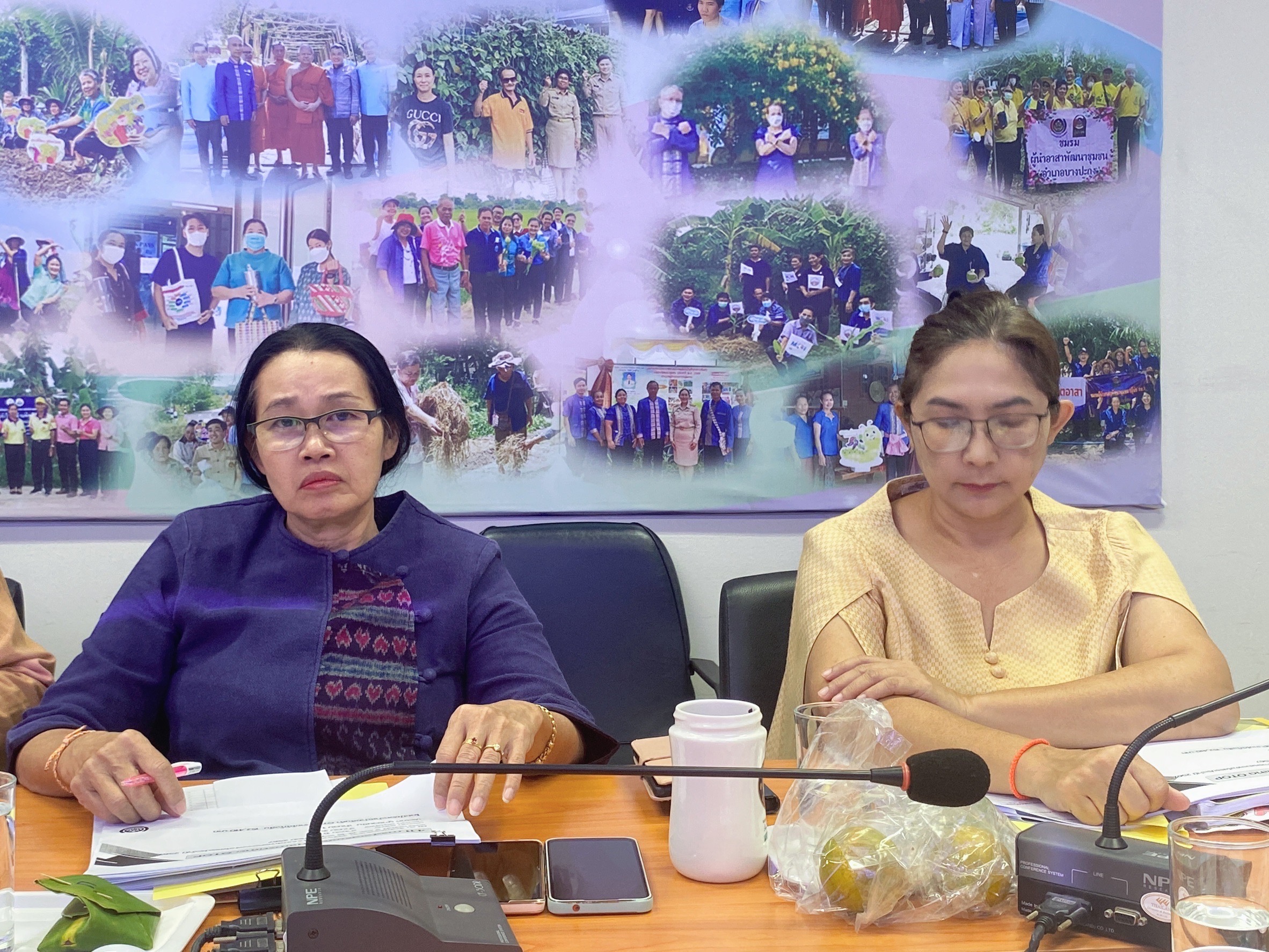 สำนักงานพัฒนาชุมชนฉะเชิงเทรา ประชุมผู้อำนวยการกลุ่มงาน, นักวิชาการพัฒนาชุมชนและเจ้าหน้าที่พัฒนาชุมชนจังหวัดฉะเชิงเทรา ครั้งที่ 10/2567 ประจำเดือน พฤศจิกายน 2567