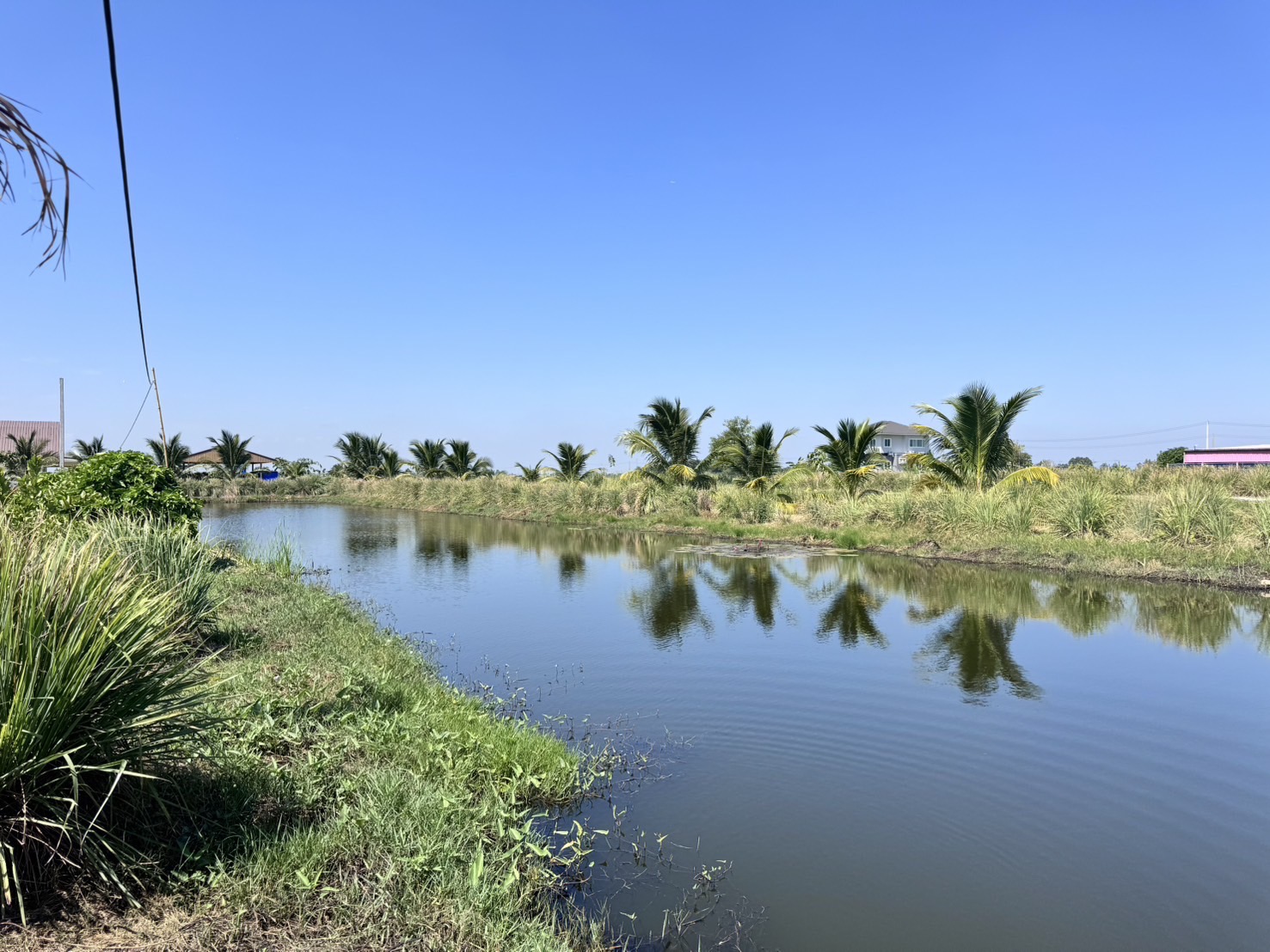 พช.ฉะเชิงเทรา ติดตามผลการดำเนินงานโครงการส่งเสริมและสนับสนุนกิจกรรมอนุรักษ์พันธุกรรมพืช ตามโครงการอนุรักษ์พันธุกรรมพืชอันเนื่องมาจากพระราชดำริ สมเด็จพระเทพรัตนราชสุดาฯ สยามบรมราชกุมารี (อพ.สธ.)