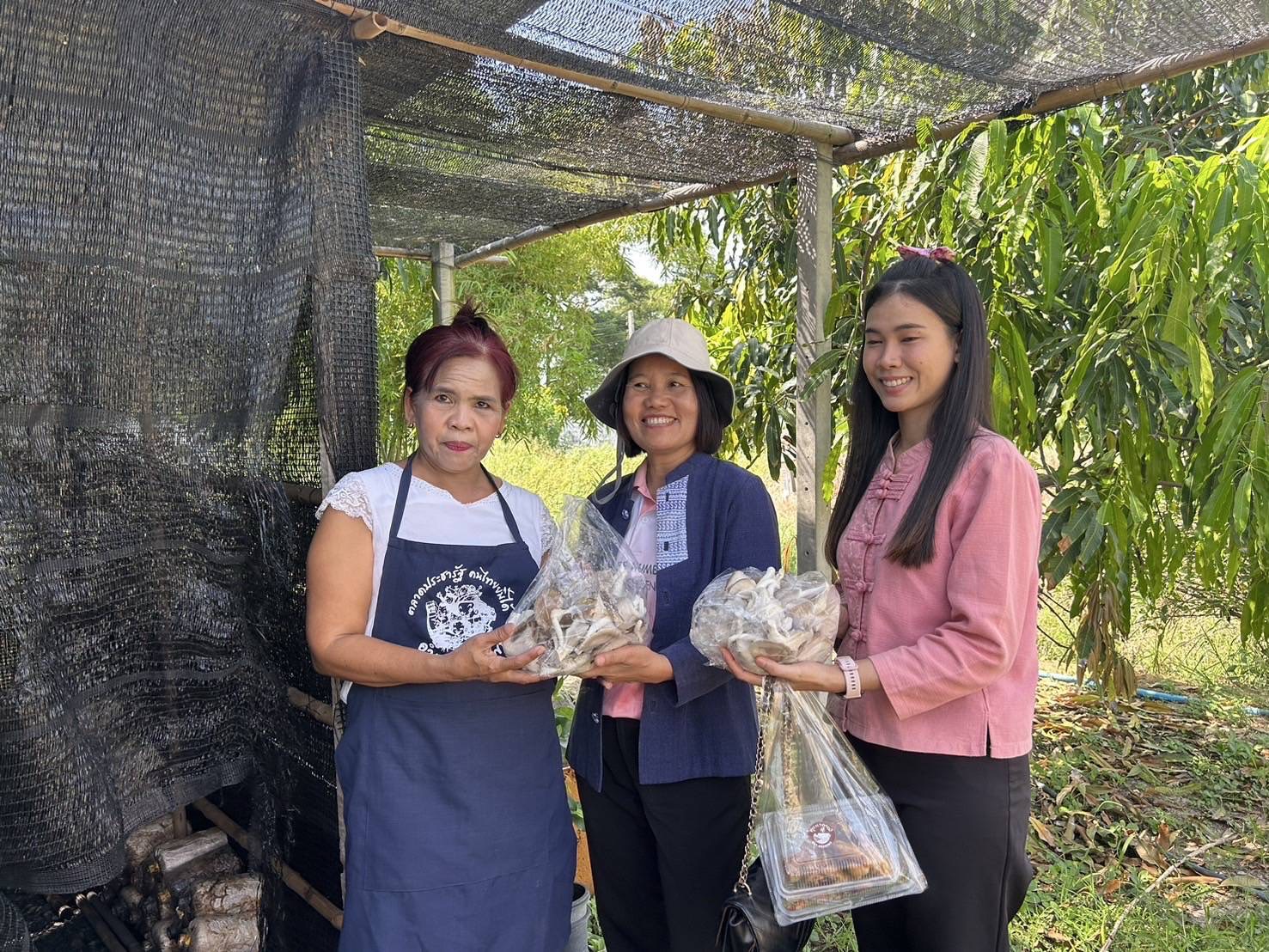 พช.ฉะเชิงเทรา ติดตามผลการดำเนินงานโครงการส่งเสริมและสนับสนุนกิจกรรมอนุรักษ์พันธุกรรมพืช ตามโครงการอนุรักษ์พันธุกรรมพืชอันเนื่องมาจากพระราชดำริ สมเด็จพระเทพรัตนราชสุดาฯ สยามบรมราชกุมารี (อพ.สธ.)
