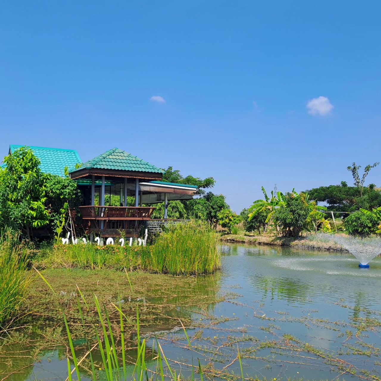 พช.ฉะเชิงเทรา ติดตามผลการดำเนินงานโครงการส่งเสริมและสนับสนุนกิจกรรมอนุรักษ์พันธุกรรมพืช ตามโครงการอนุรักษ์พันธุกรรมพืชอันเนื่องมาจากพระราชดำริ สมเด็จพระเทพรัตนราชสุดาฯ สยามบรมราชกุมารี (อพ.สธ.)