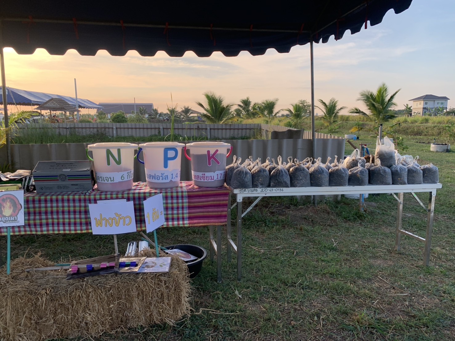 🌱พช.ฉะเชิงเทรา ผนึกกำลังพช.เมืองฉะเชิงเทรา และภาคีเครือข่ายเตรียมความพร้อมการกิจกรรมวันดินโลก (World Soil Day) ประจำปี 2567 ภายใต้หัวข้อ “Caring for soils: measure, monitor, manage” “ใส่ใจมาตรฐาน ตรวจวัดจัดการ ดินดียั่งยืน”