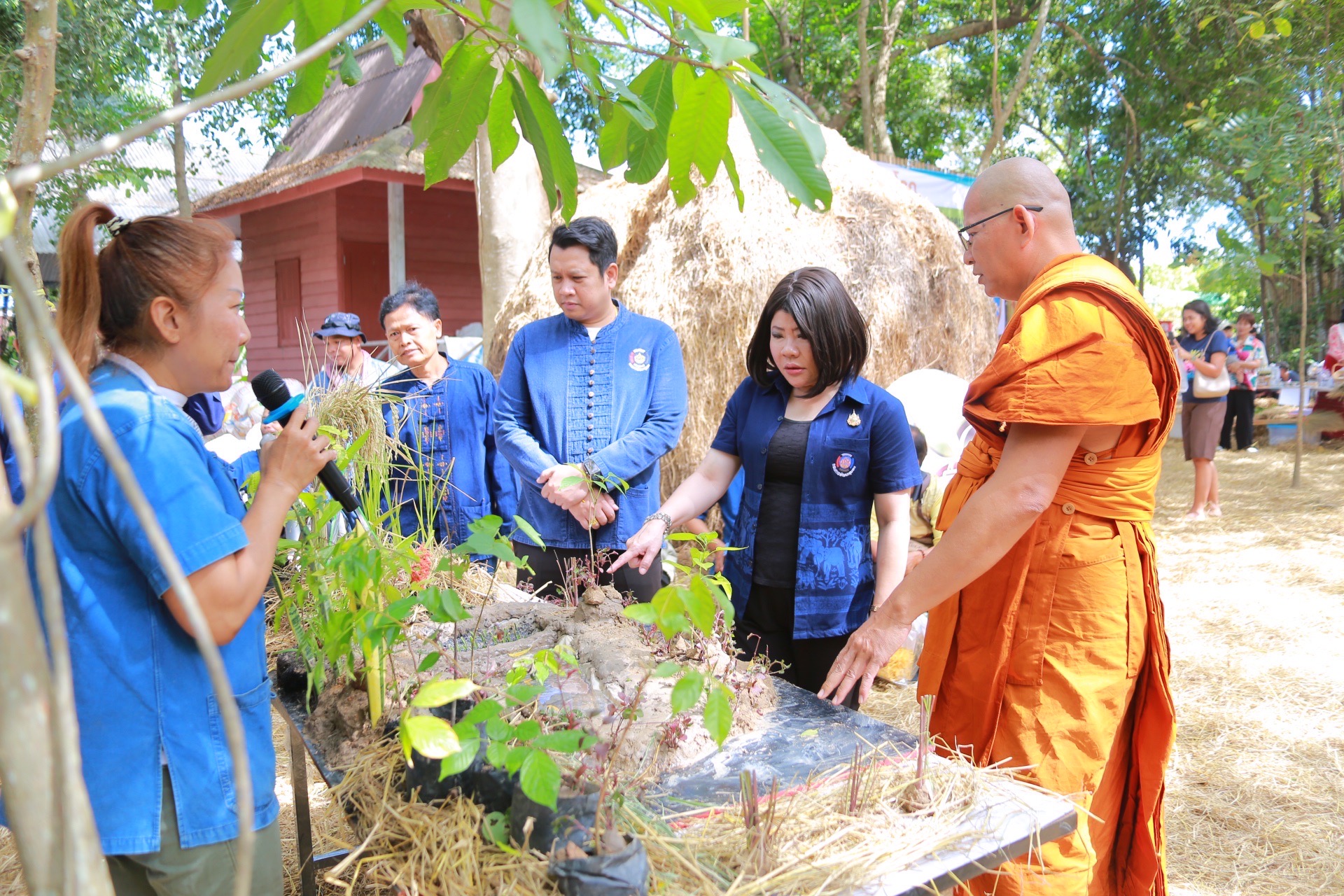 พช.ฉะเชิงเทรา ร่วมกับ วัดวังเย็นและเทศบาลตำบลวังเย็น  ดำเนินโครงการวันดินโลก World soil Day ปี 2567 วัดวังเย็น ภายใต้หัวข้อ “Caring for Soils : measure, monitor, manage” ใส่ใจมาตรฐาน ตรวจวัดจัดการ ดินดียั่งยืน เพื่อน้อมรำลึกถึงพระมหากรุณาธิคุณและถวายสดุดีพระเกียรติคุณพระบาทสมเด็จพระบรมชนกาธิเบศร มหาภูมิพลอดุลยเดชมหาราช บรมนาถบพิตร